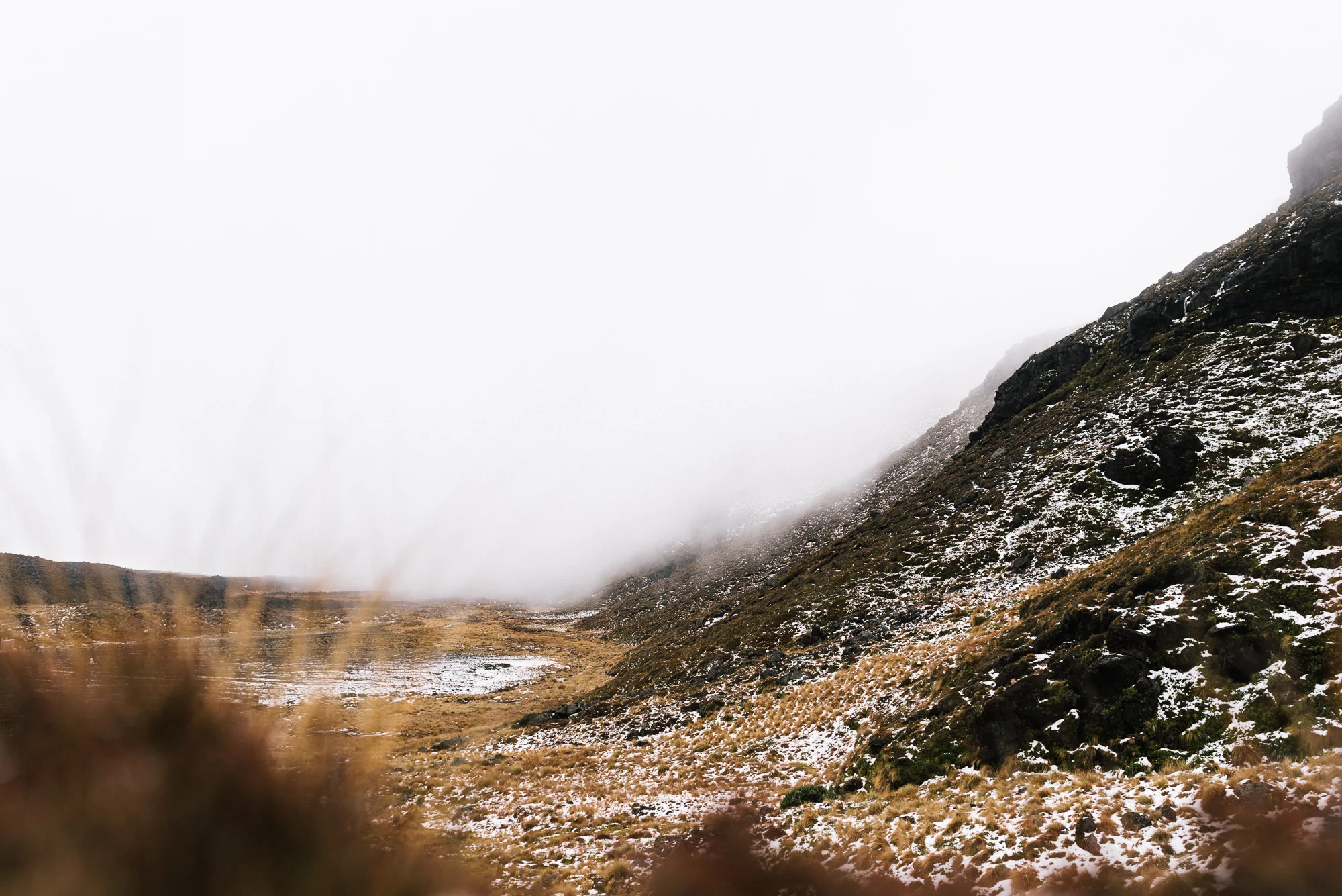 Central North Website-79.jpg