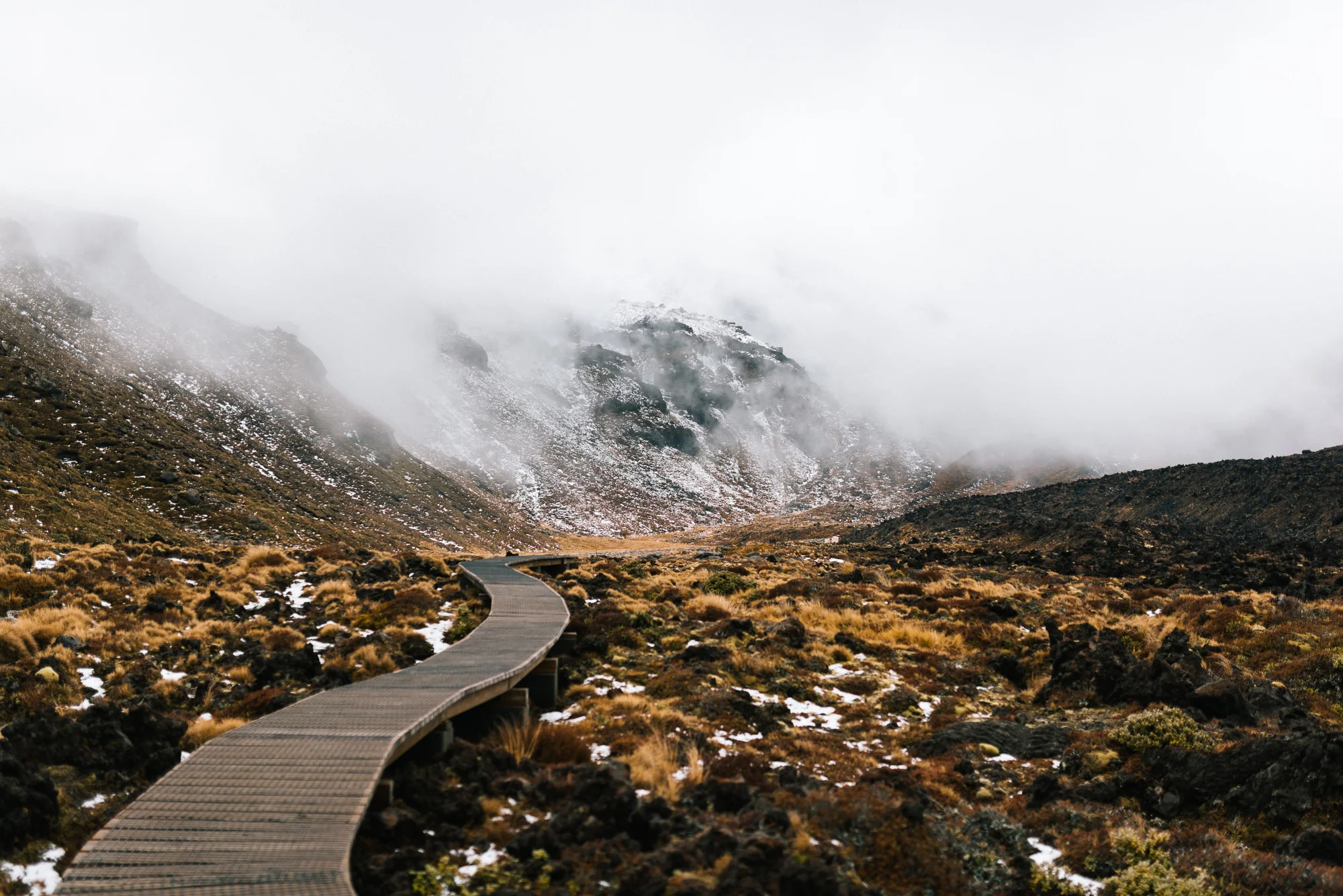 Central North Website-86.jpg