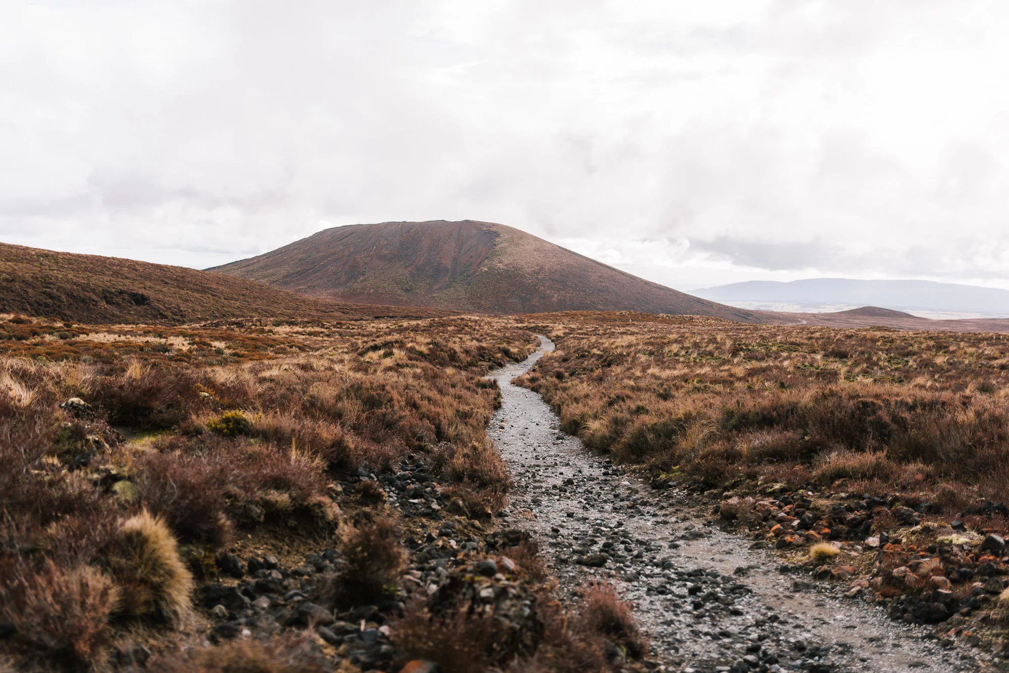 Central North Website-97.jpg