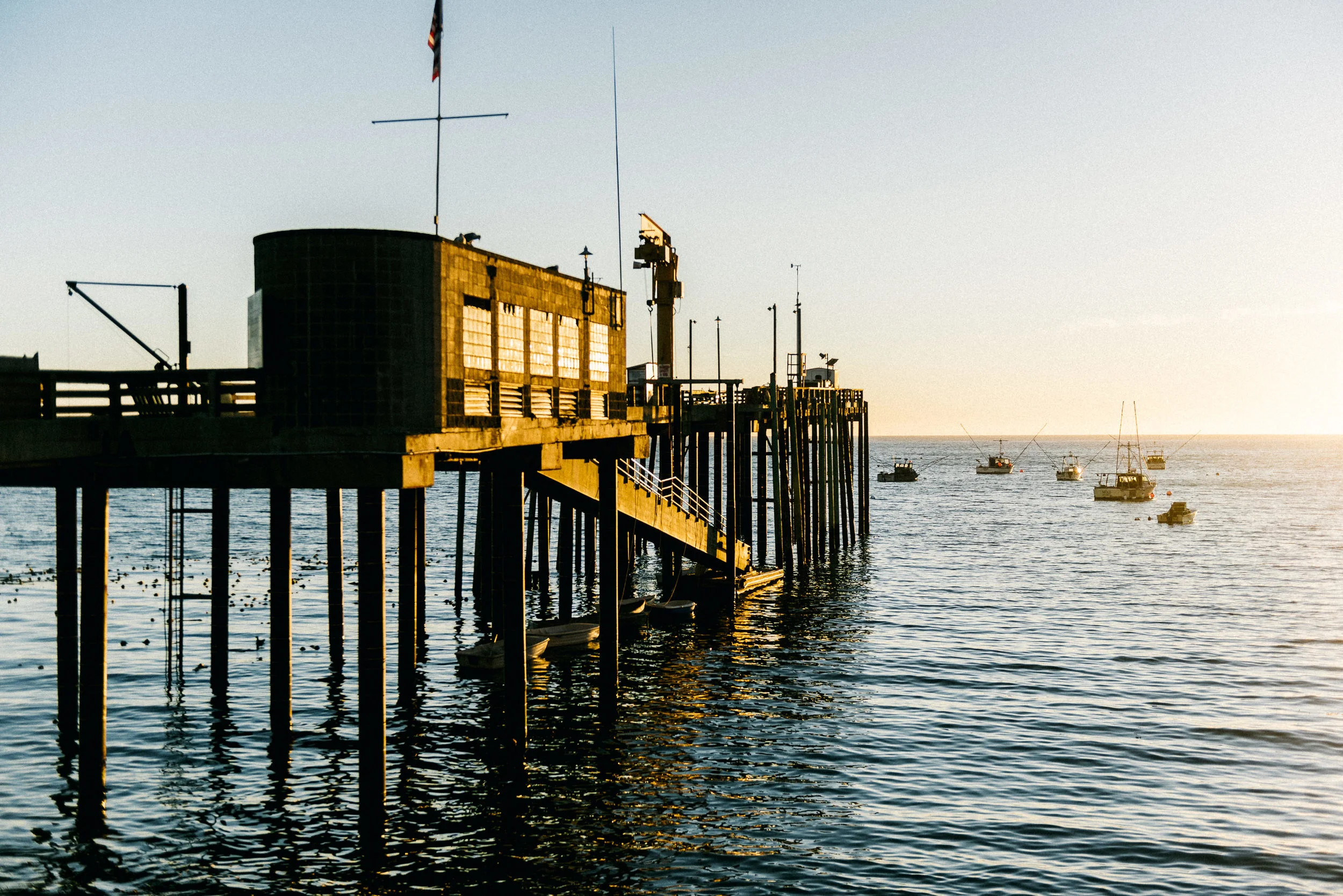 USA 2016 Selects-119.jpg