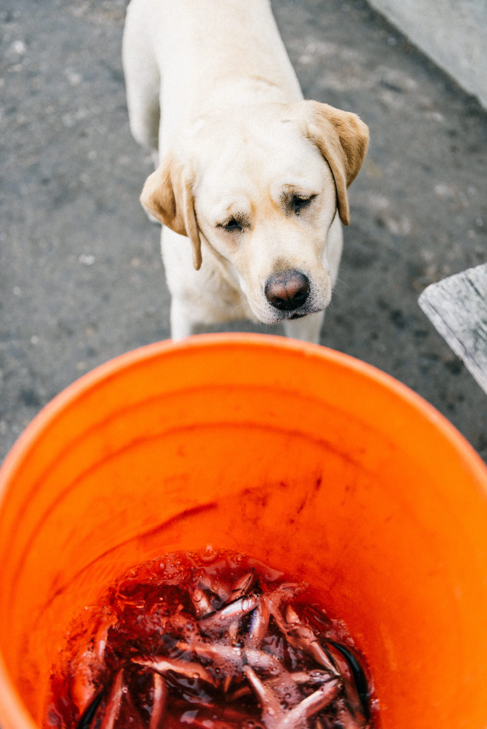 USA 2016 Selects-128.jpg