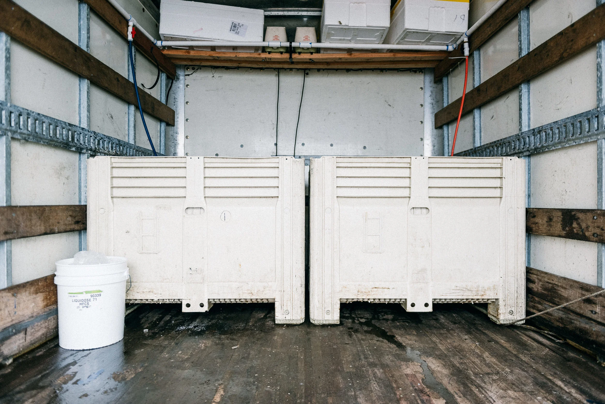 USA 2016 Selects-136.jpg