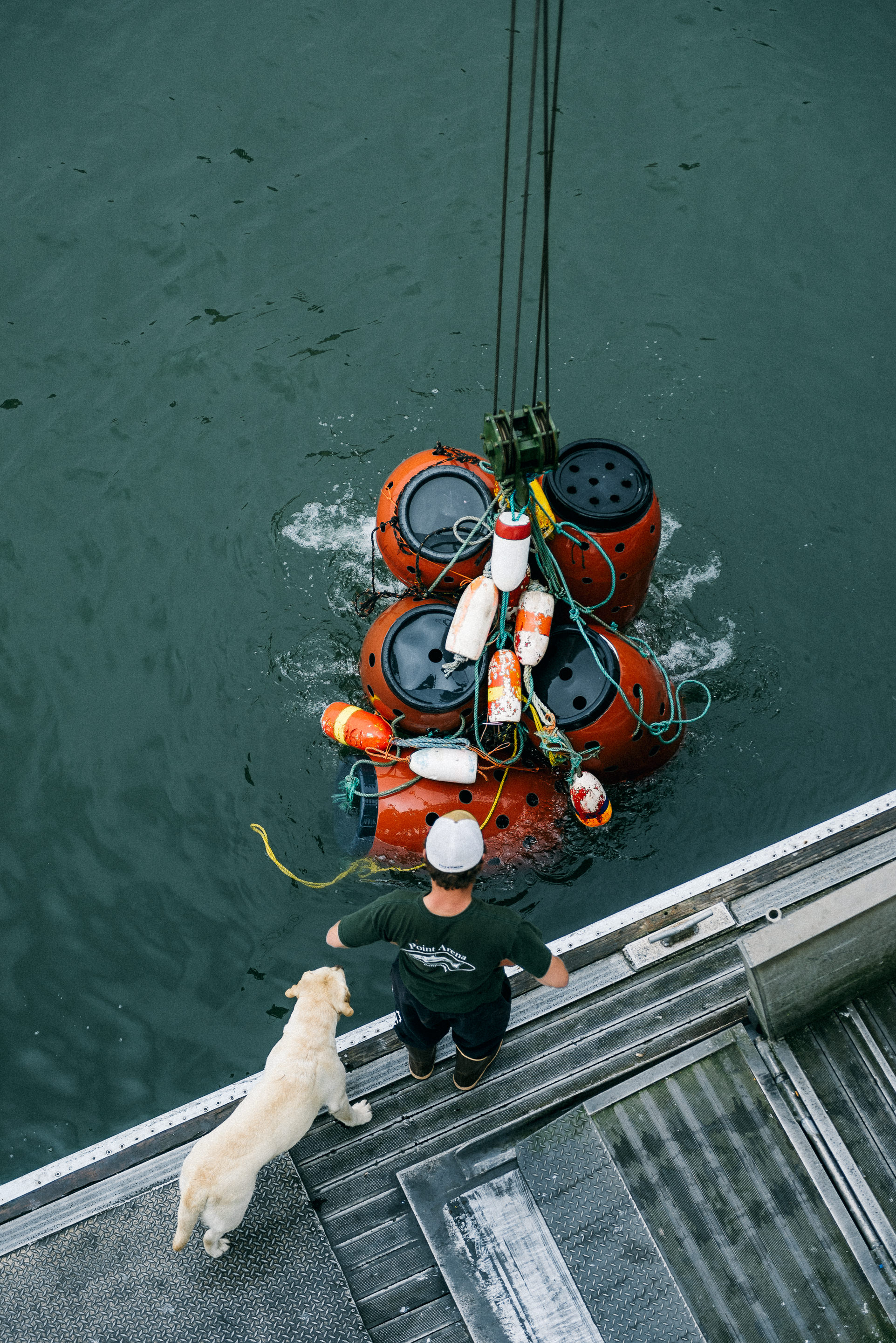 USA 2016 Selects-138.jpg