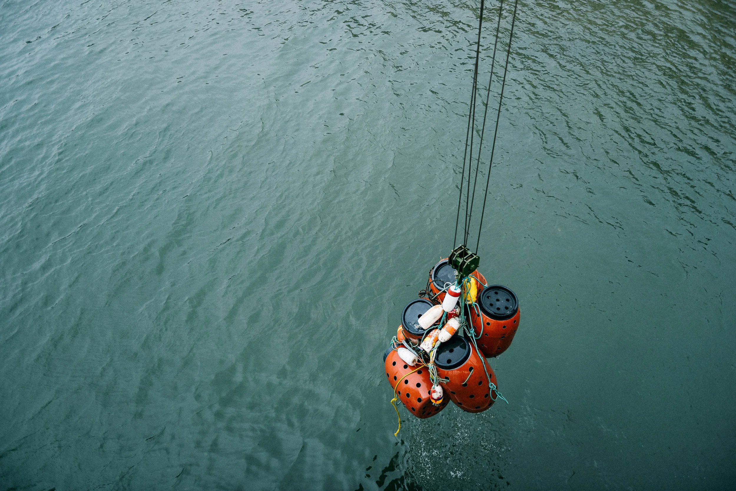 USA 2016 Selects-139.jpg