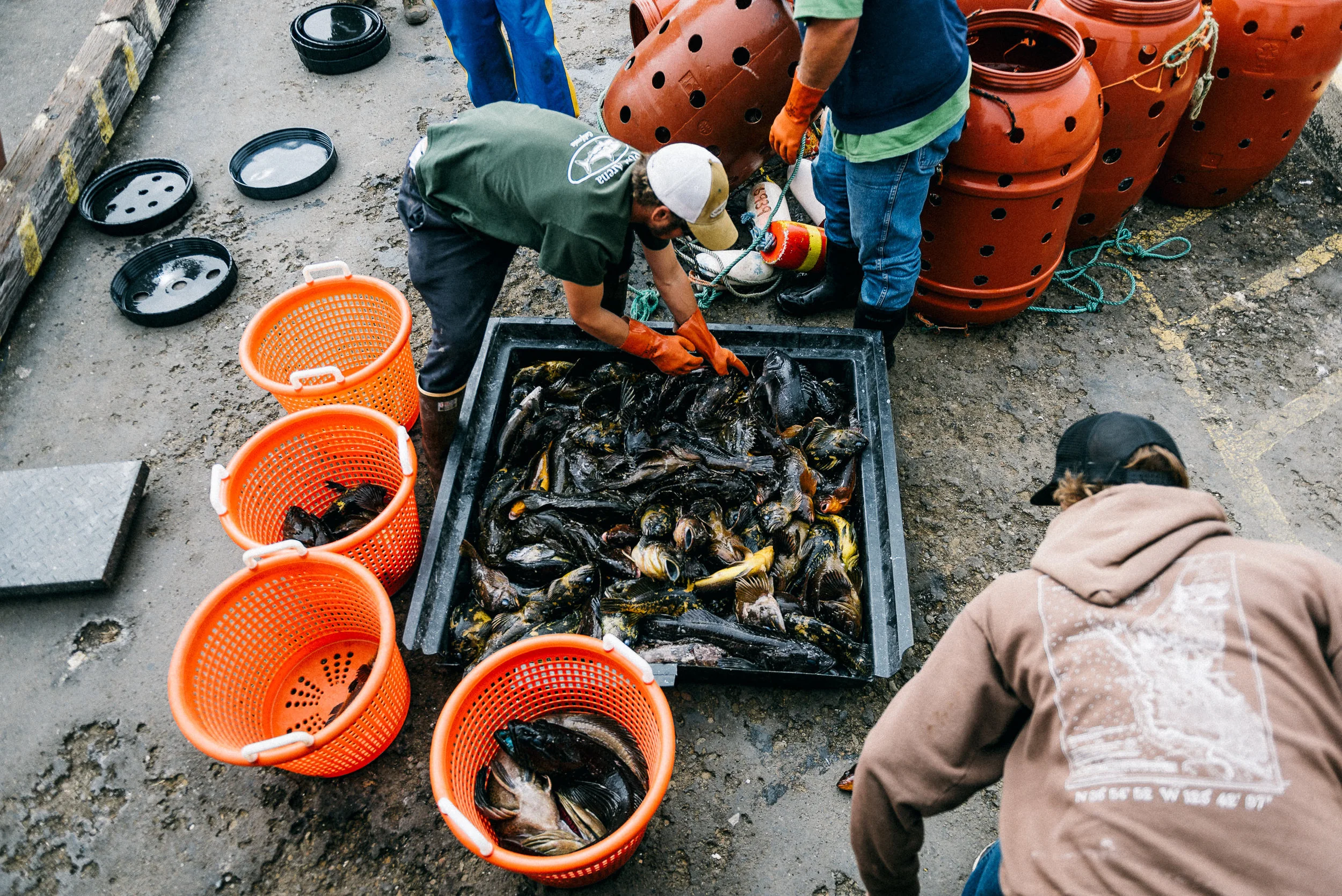 USA 2016 Selects-142.jpg