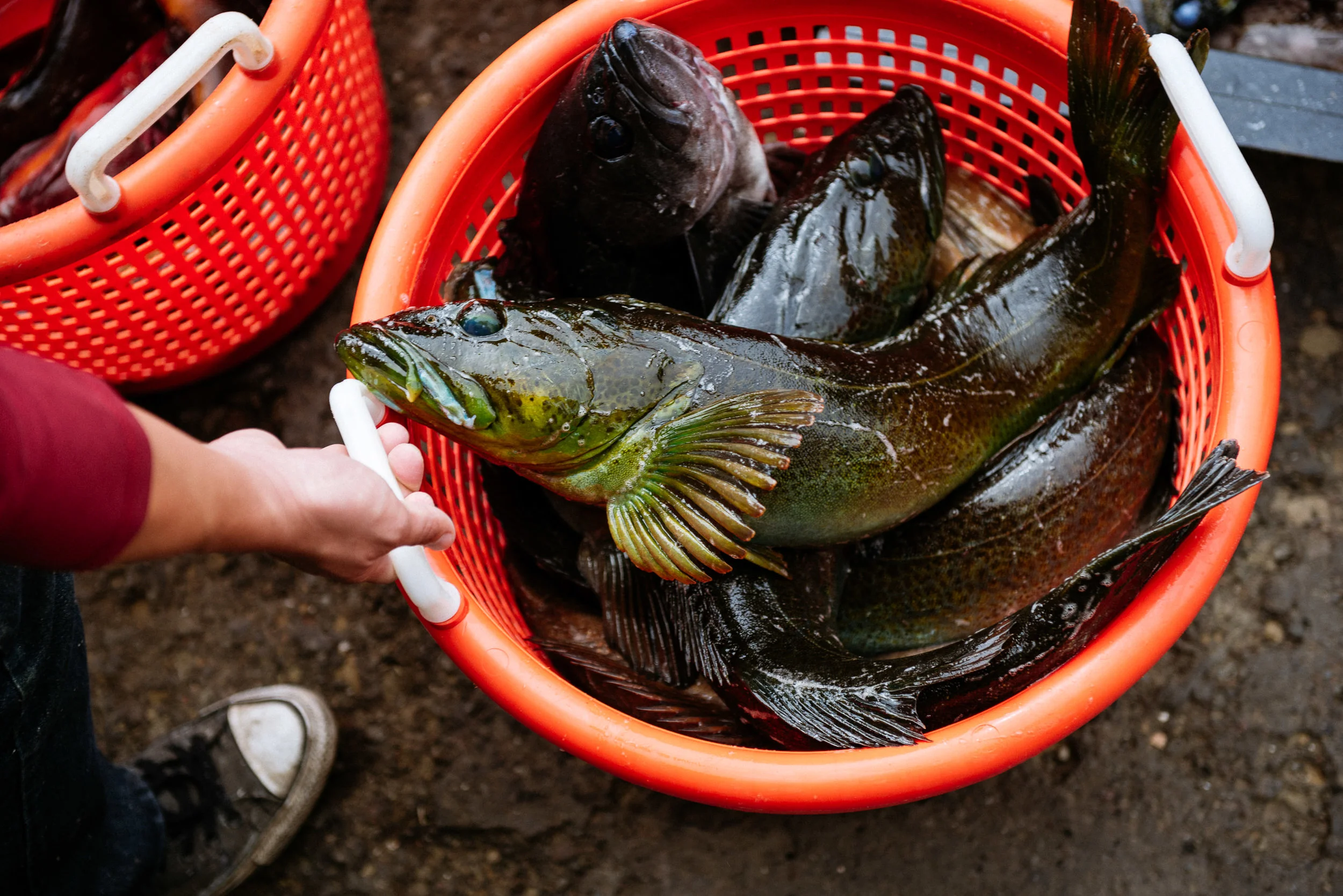 USA 2016 Selects-144.jpg