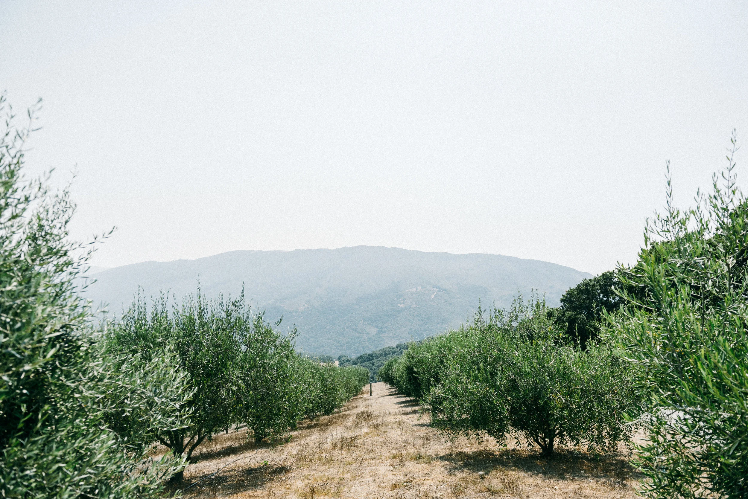 USA 2016 Selects-12.jpg