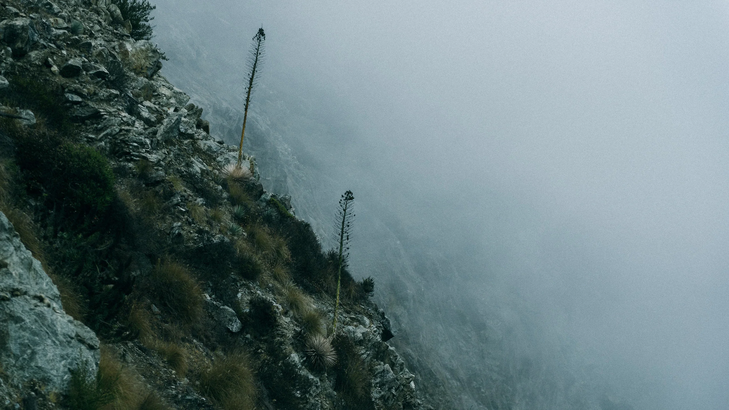 USA 2016 Selects-21.jpg