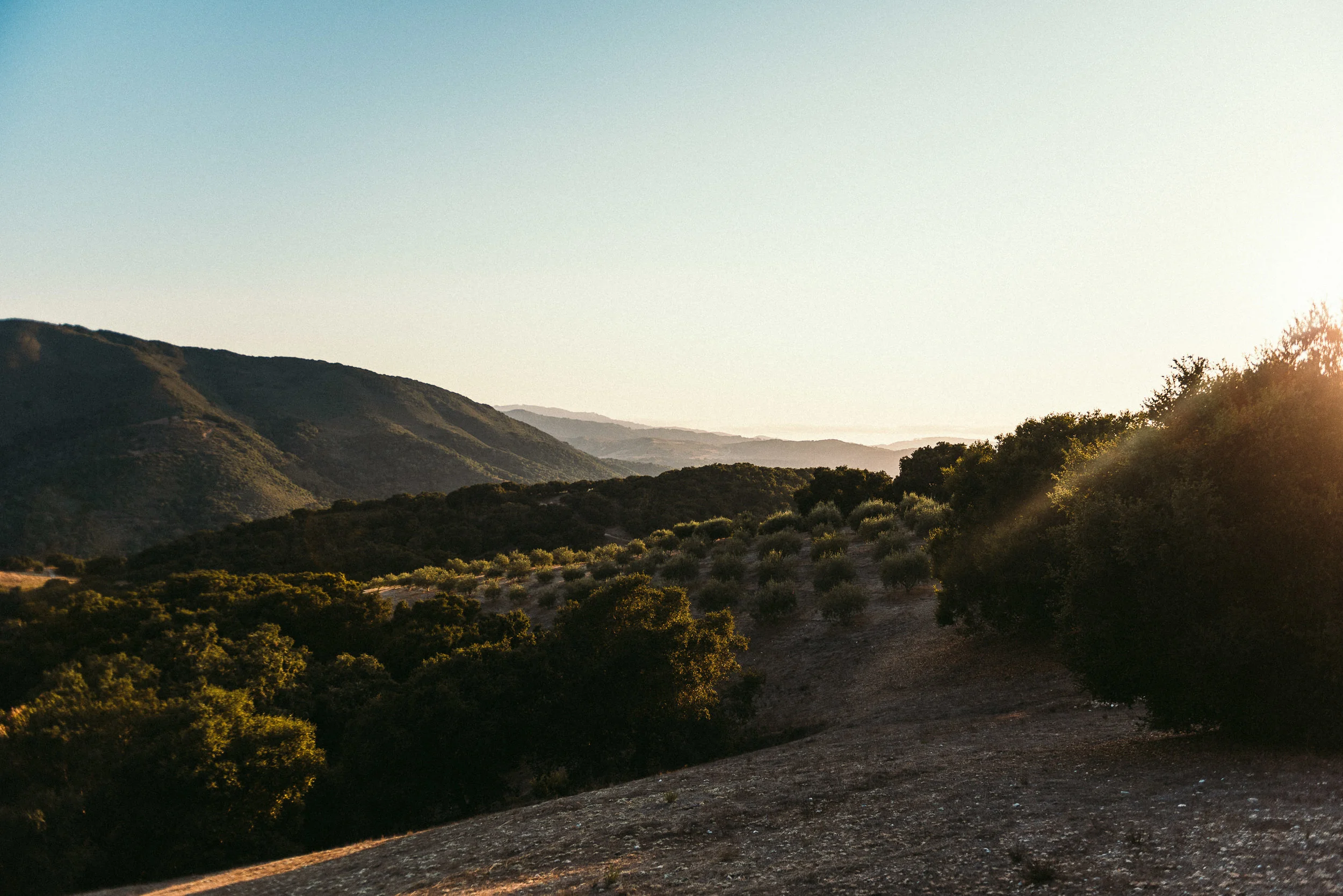 USA 2016 Selects-97.jpg