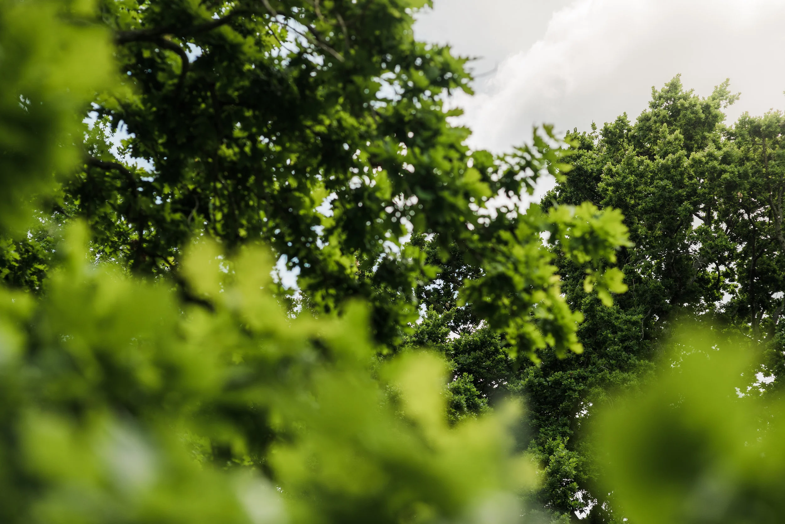 Studio South - The International-8.jpg