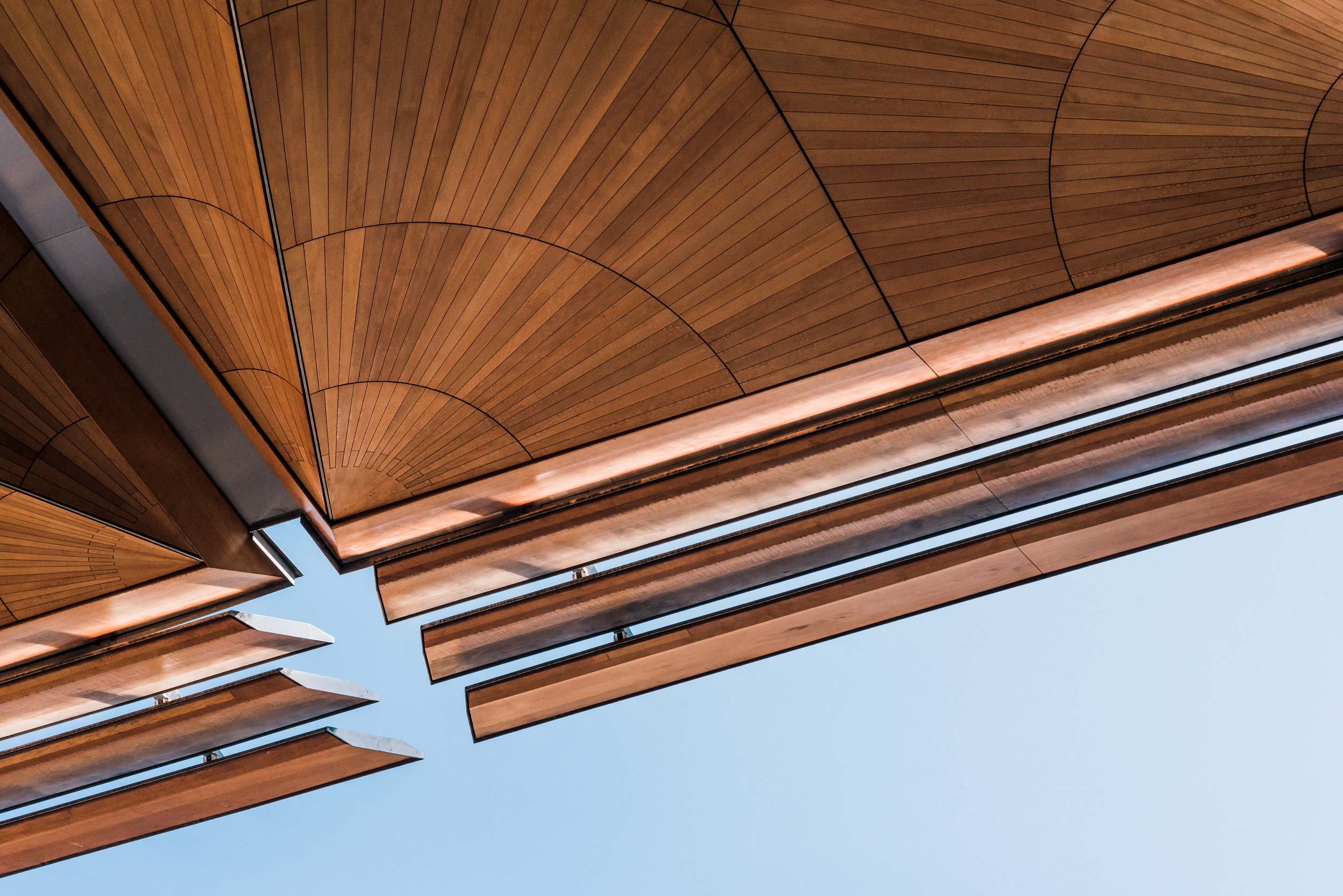 Studio South - The International-3.jpg