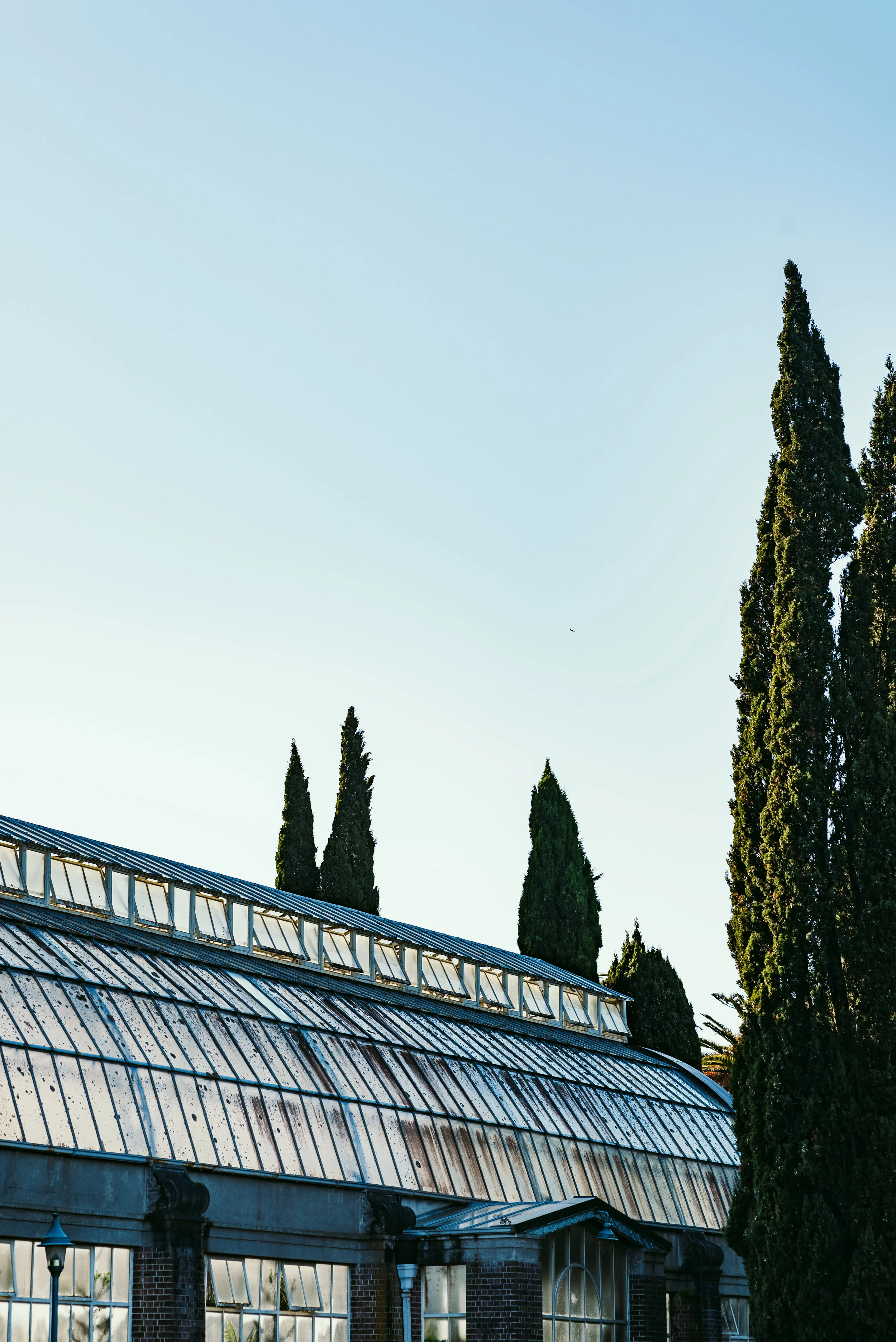 Studio South - The International-24.jpg