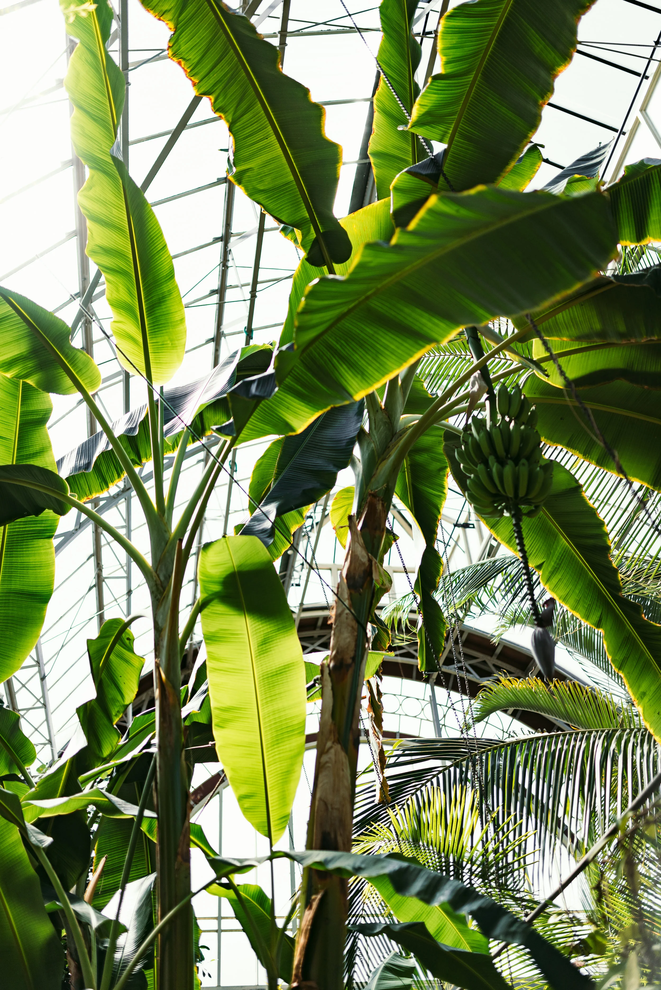 Studio South - The International-26.jpg