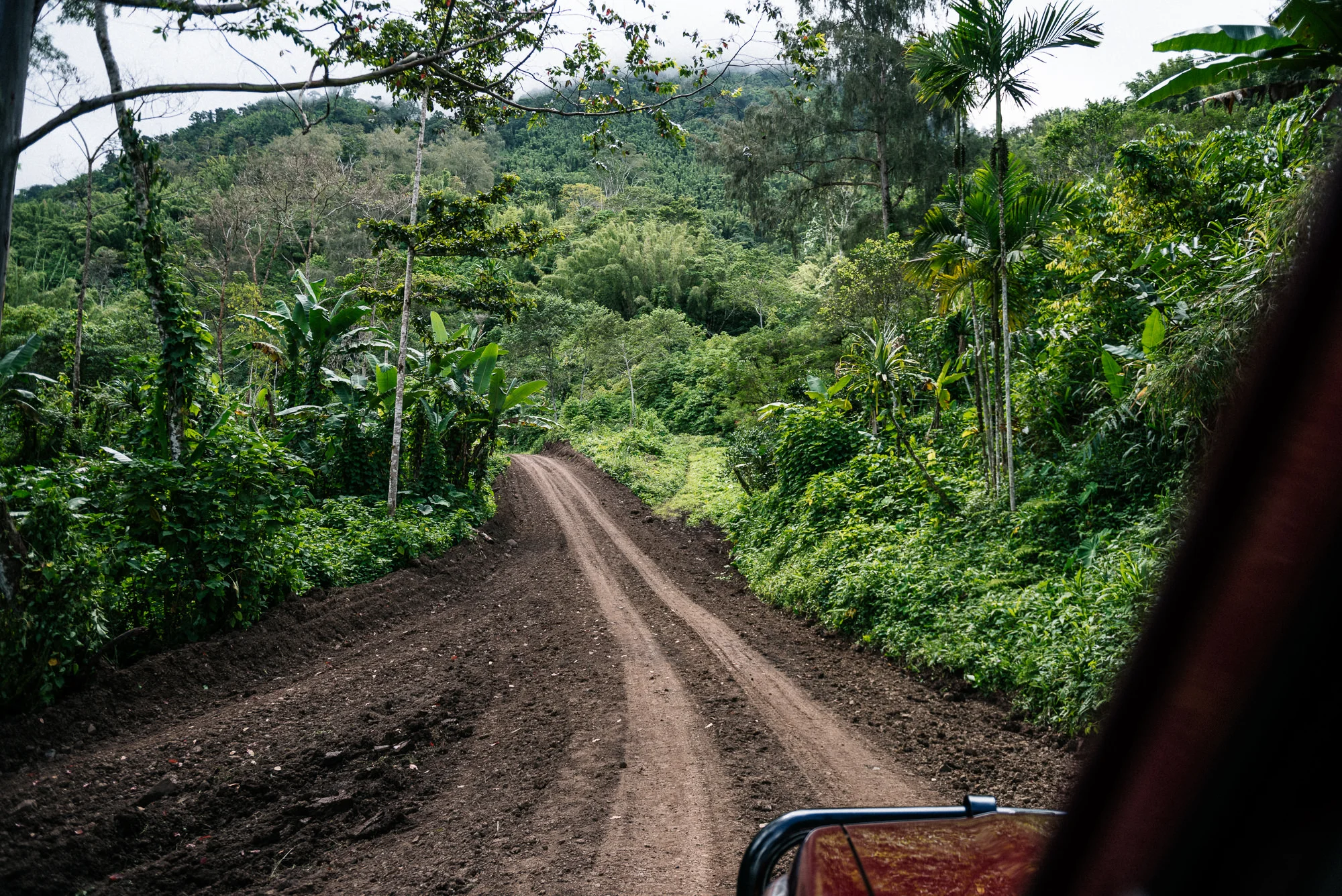 Papua New Guinea Coffee - Josh Griggs Photographer-38.jpg