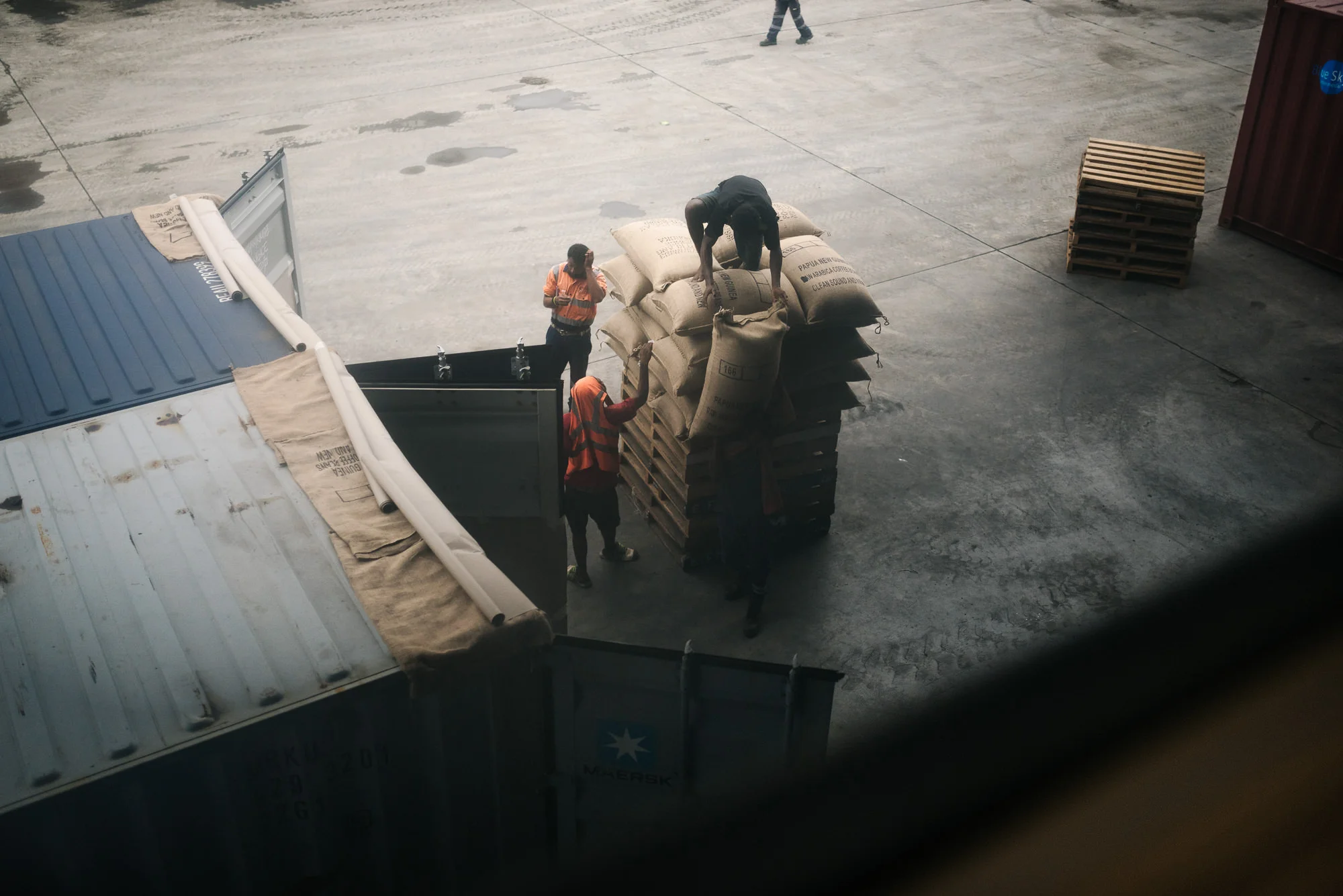 Papua New Guinea Coffee - Josh Griggs Photographer-44.jpg