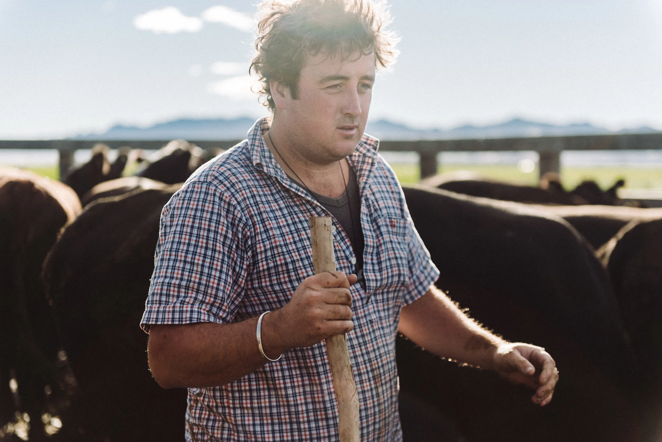 Josh Griggs Auckland Food and Lifestyle Photographer 2018-20.jpg
