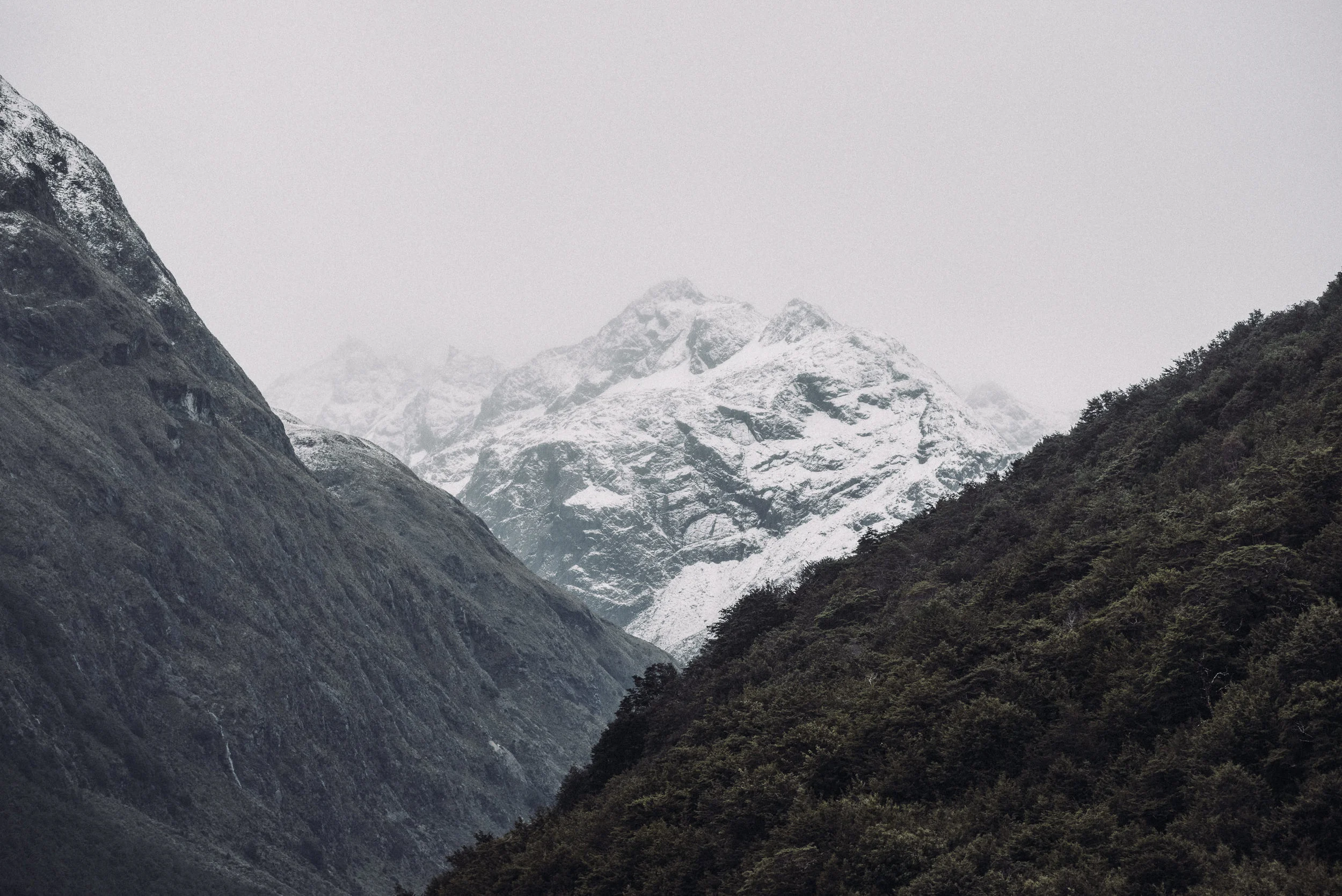 Josh Griggs Auckland Food and Lifestyle Photographer 2018-73.jpg