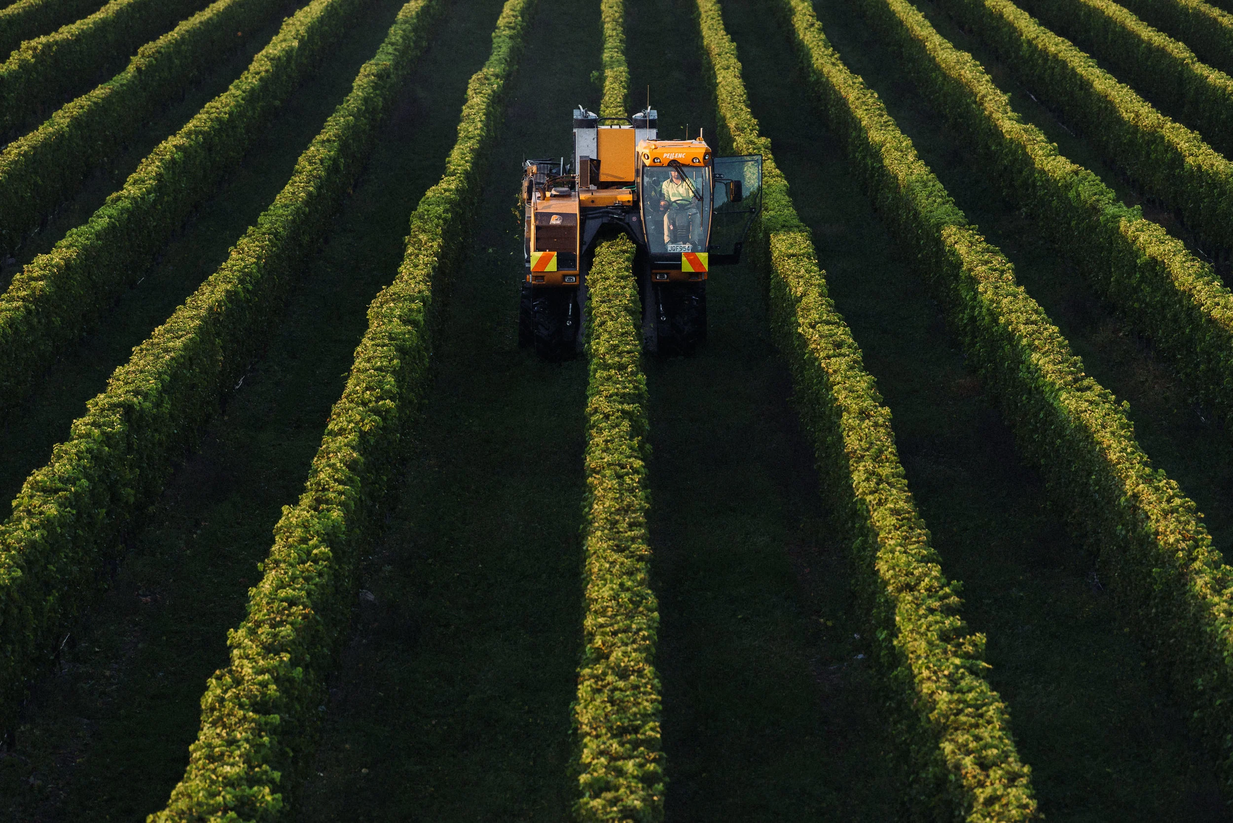 Josh Griggs Auckland Food and Lifestyle Photographer 2018-63.jpg