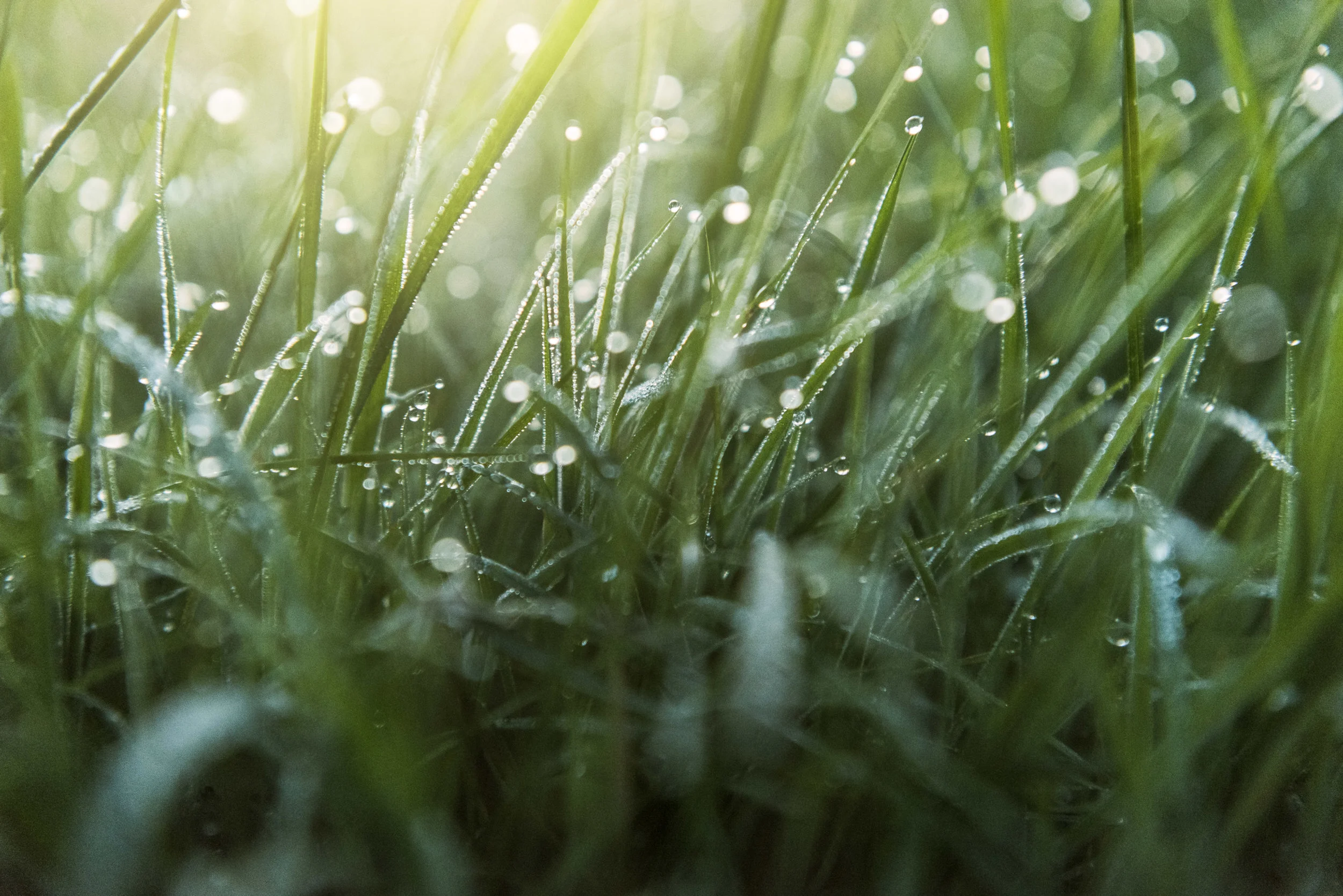 Josh Griggs - TCF Folio Place (26:08:18)1.jpg