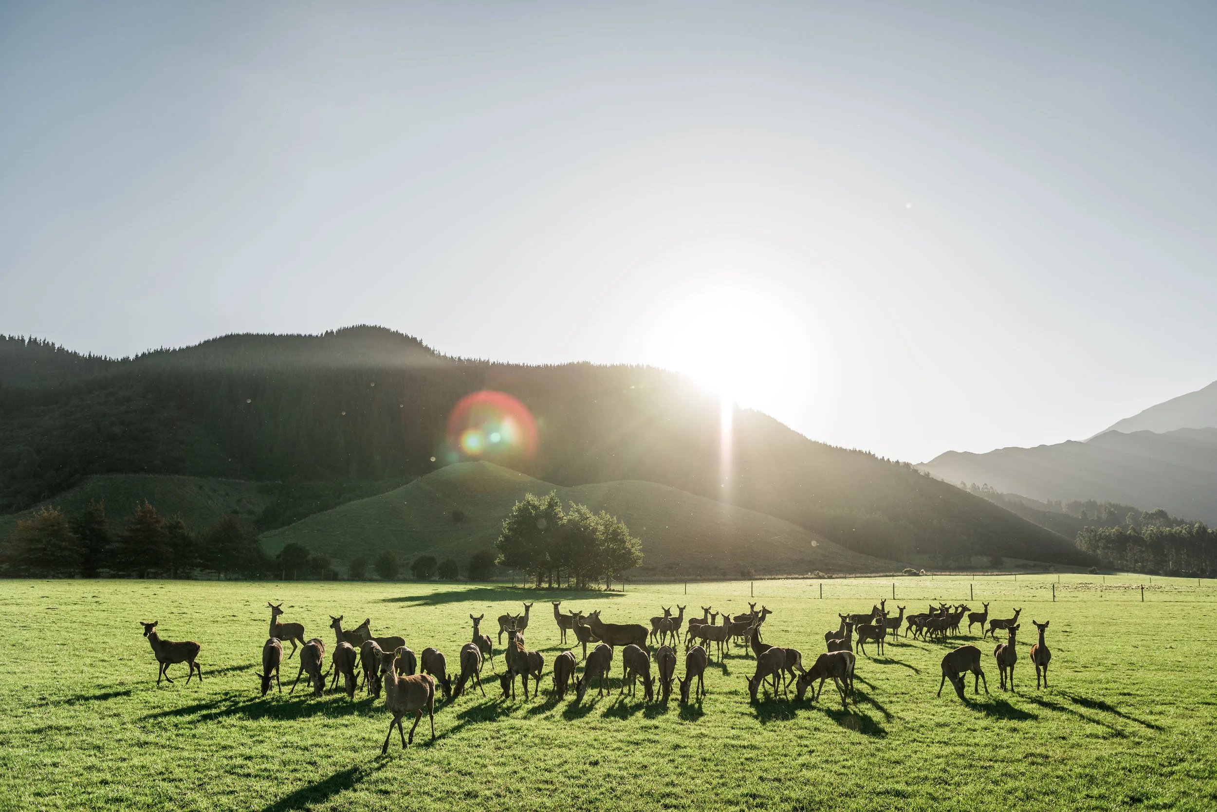 Josh Griggs - TCF Folio Place (26:08:18)13.jpg