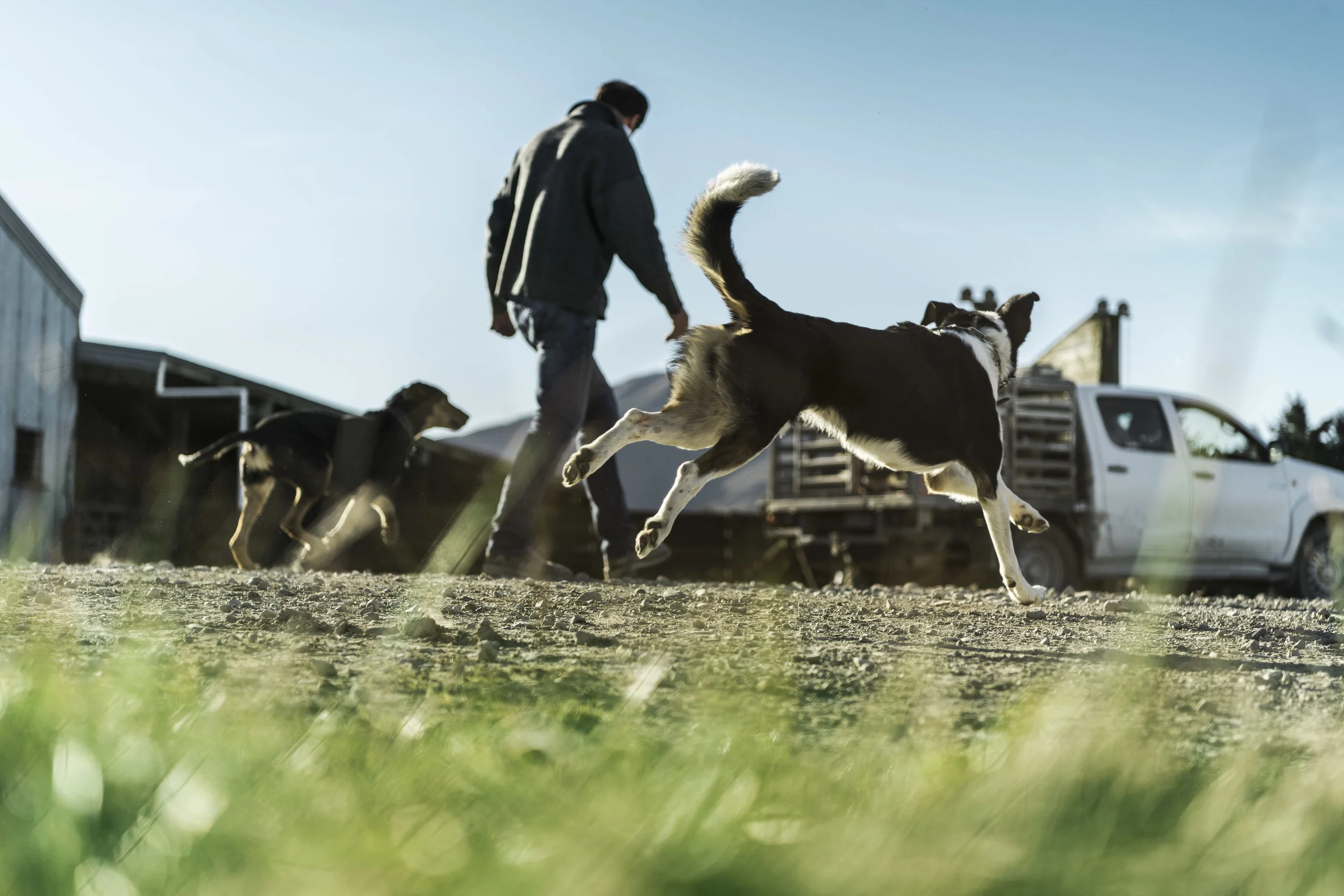 Josh Griggs - TCF Folio Place (26:08:18)2.jpg