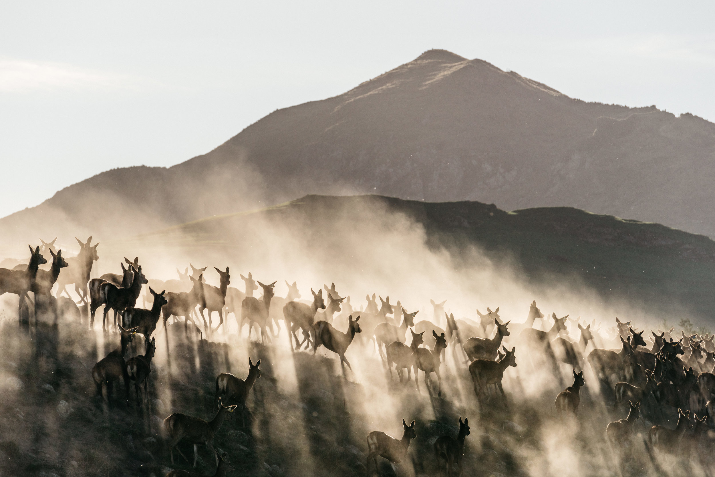 Josh Griggs - TCF Folio Place (26:08:18)11.jpg