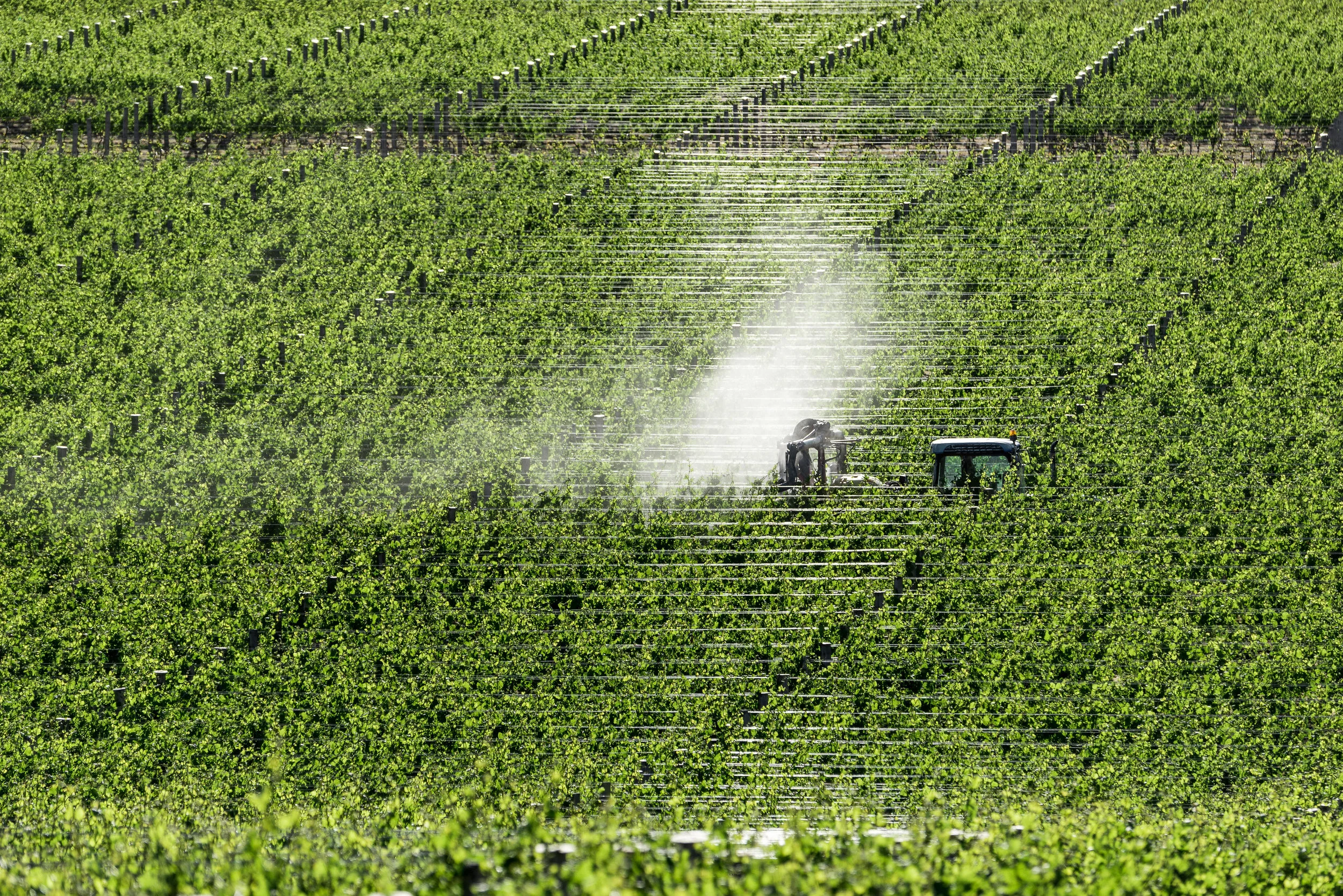 Josh Griggs - TCF Folio Place (26:08:18)15.jpg