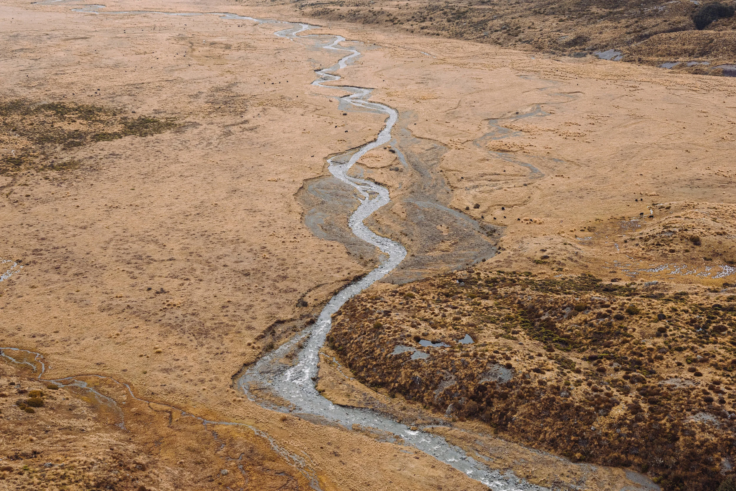 Josh Griggs - TCF Folio Story Conceptual (26:08:18)6.jpg