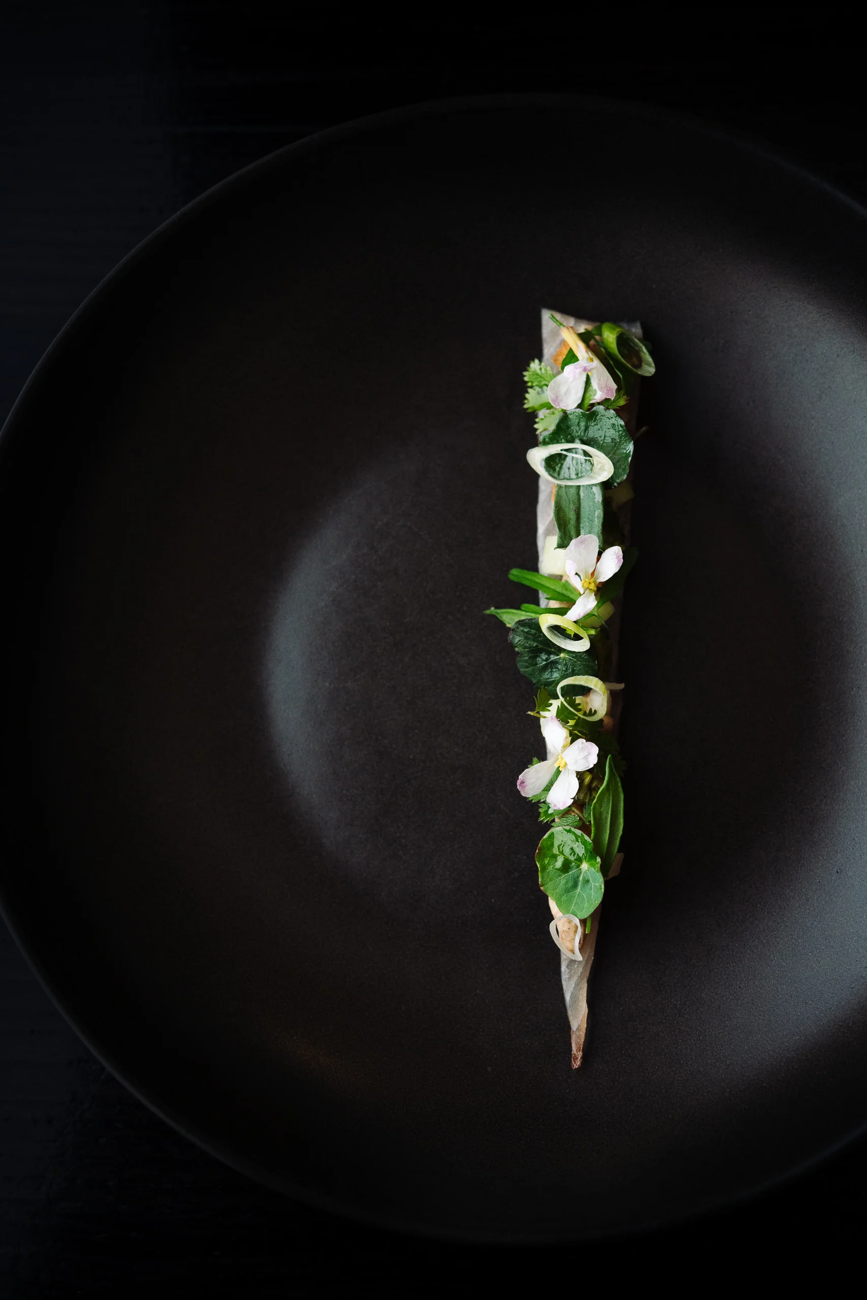 13-02-2019 Josh Griggs-38.jpg