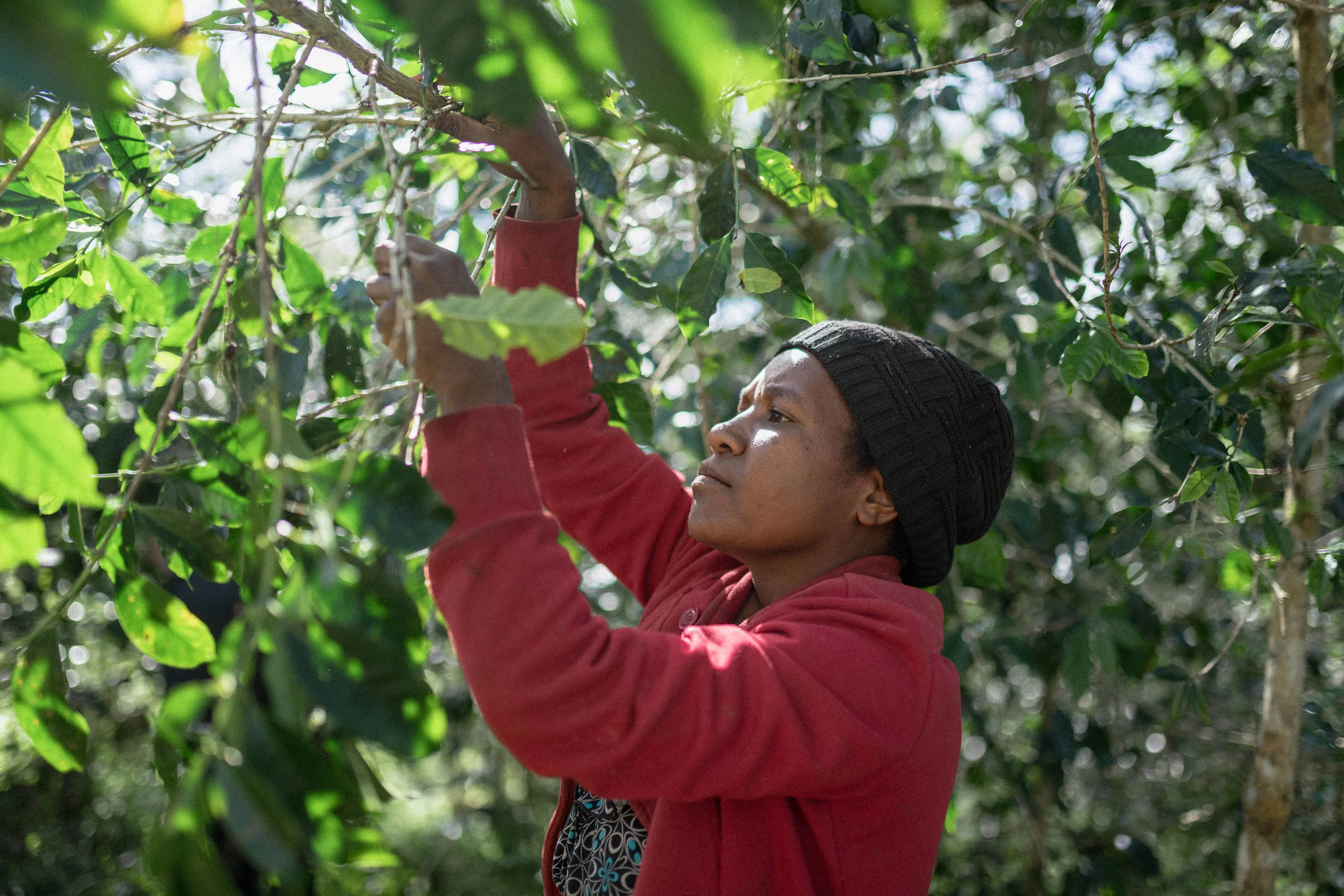 Instagram 21-07-2019-174.jpg