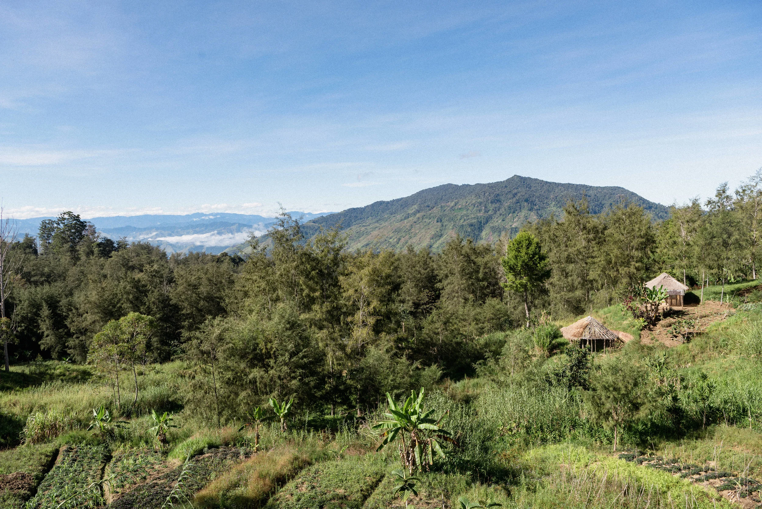 Instagram 21-07-2019-194.jpg