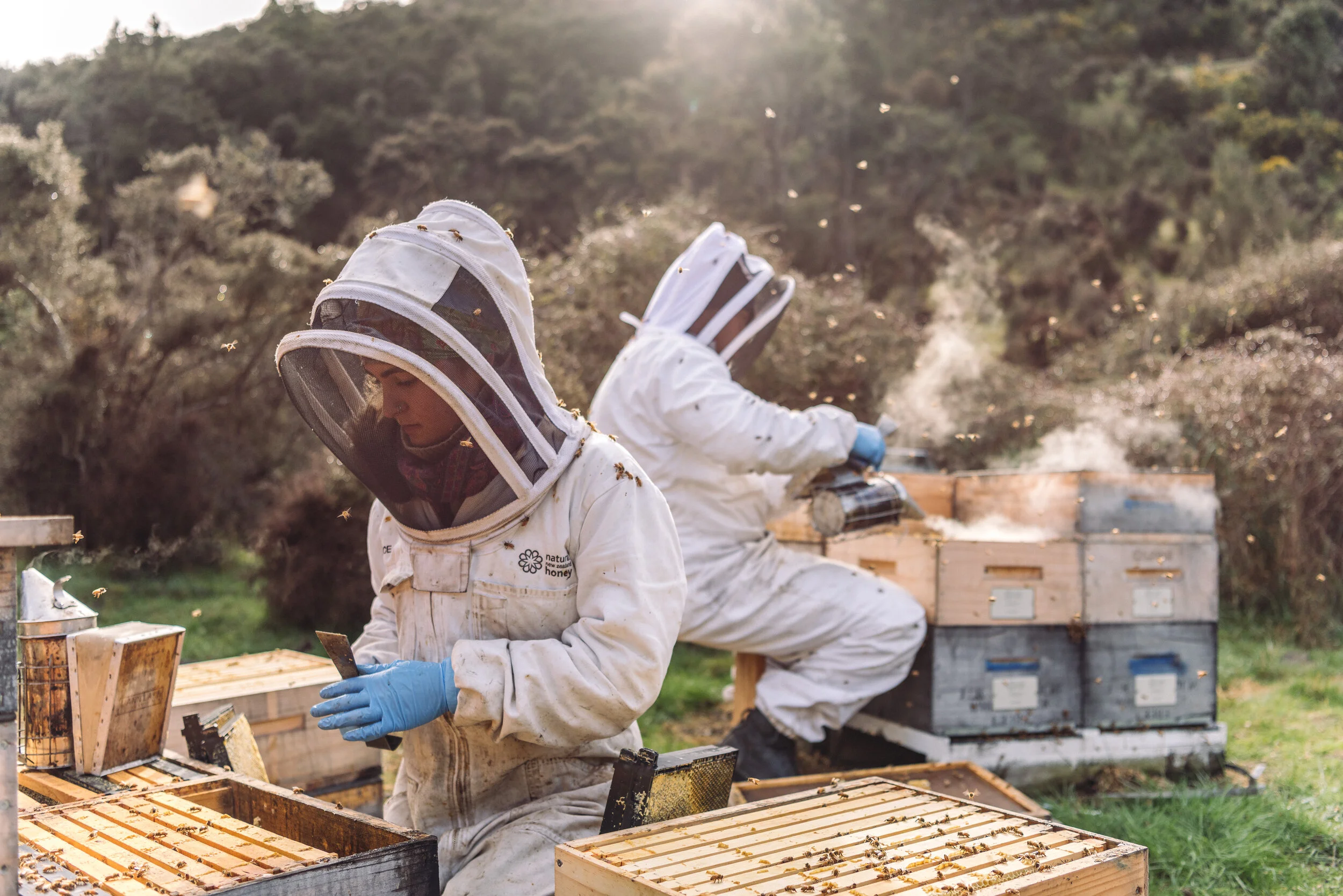 TCF - Josh Griggs Folio Update November 2019-1.jpg