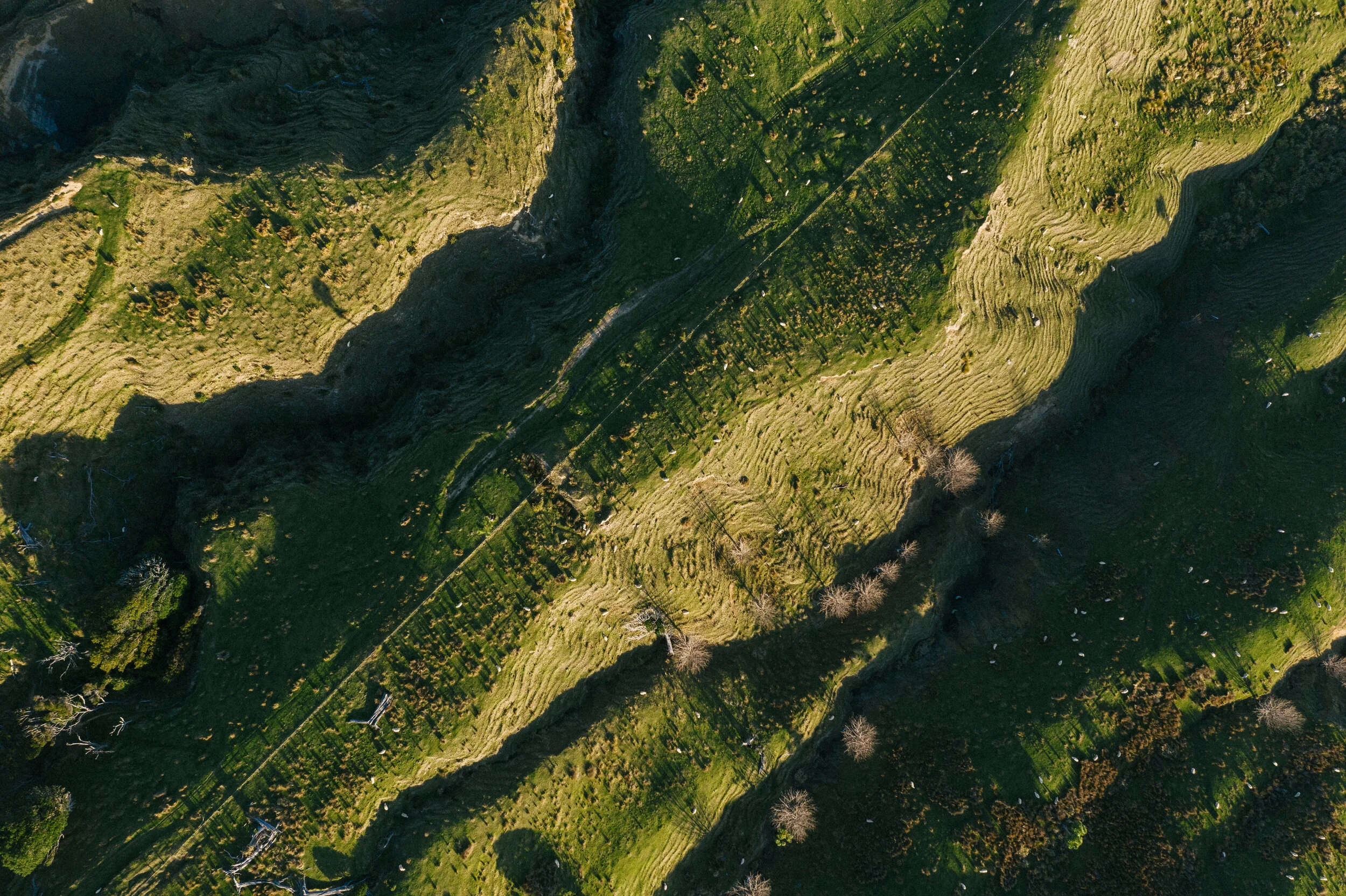 TCF - New Aerial-5.jpg