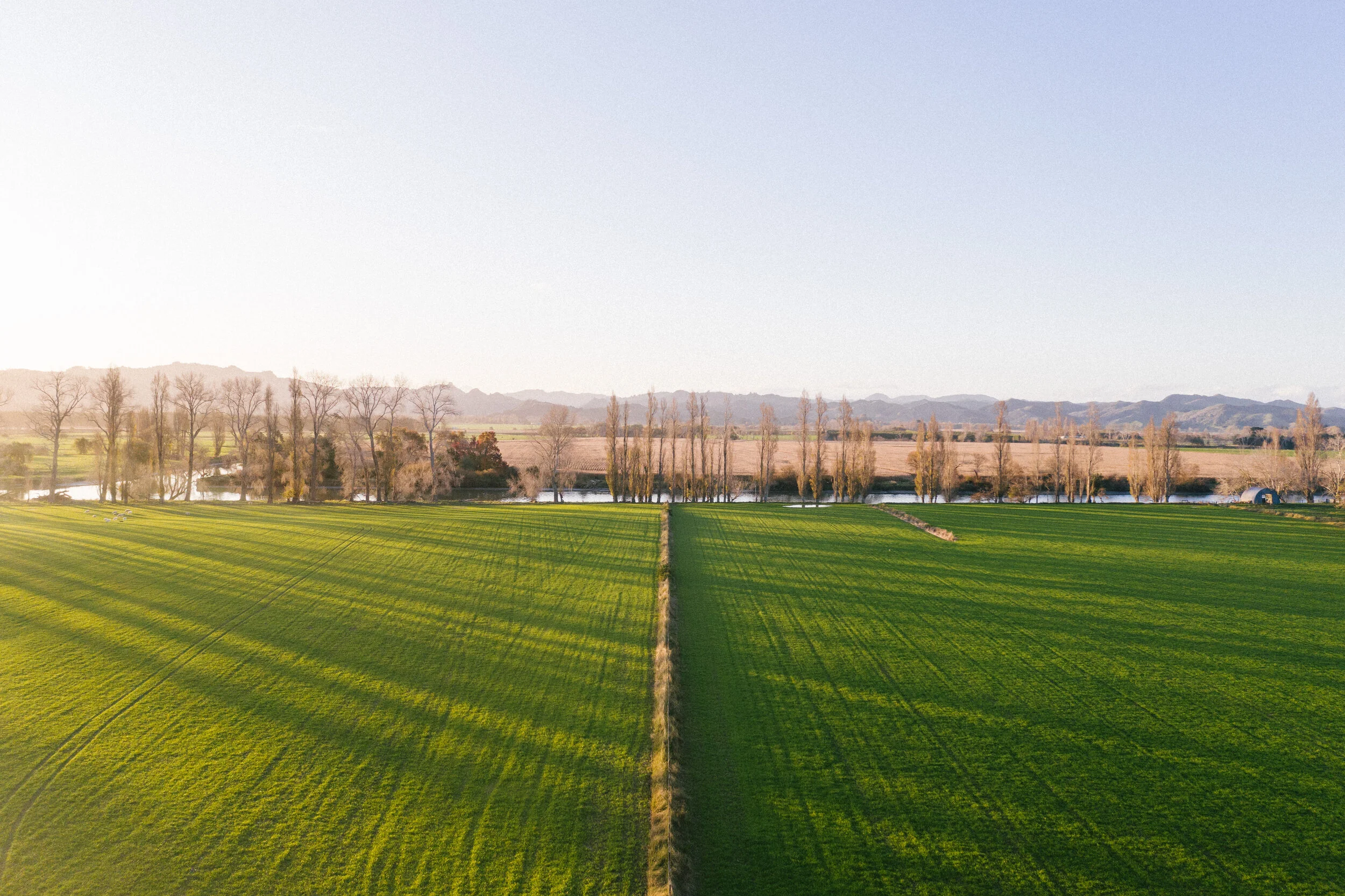 TCF - New Aerial-6.jpg