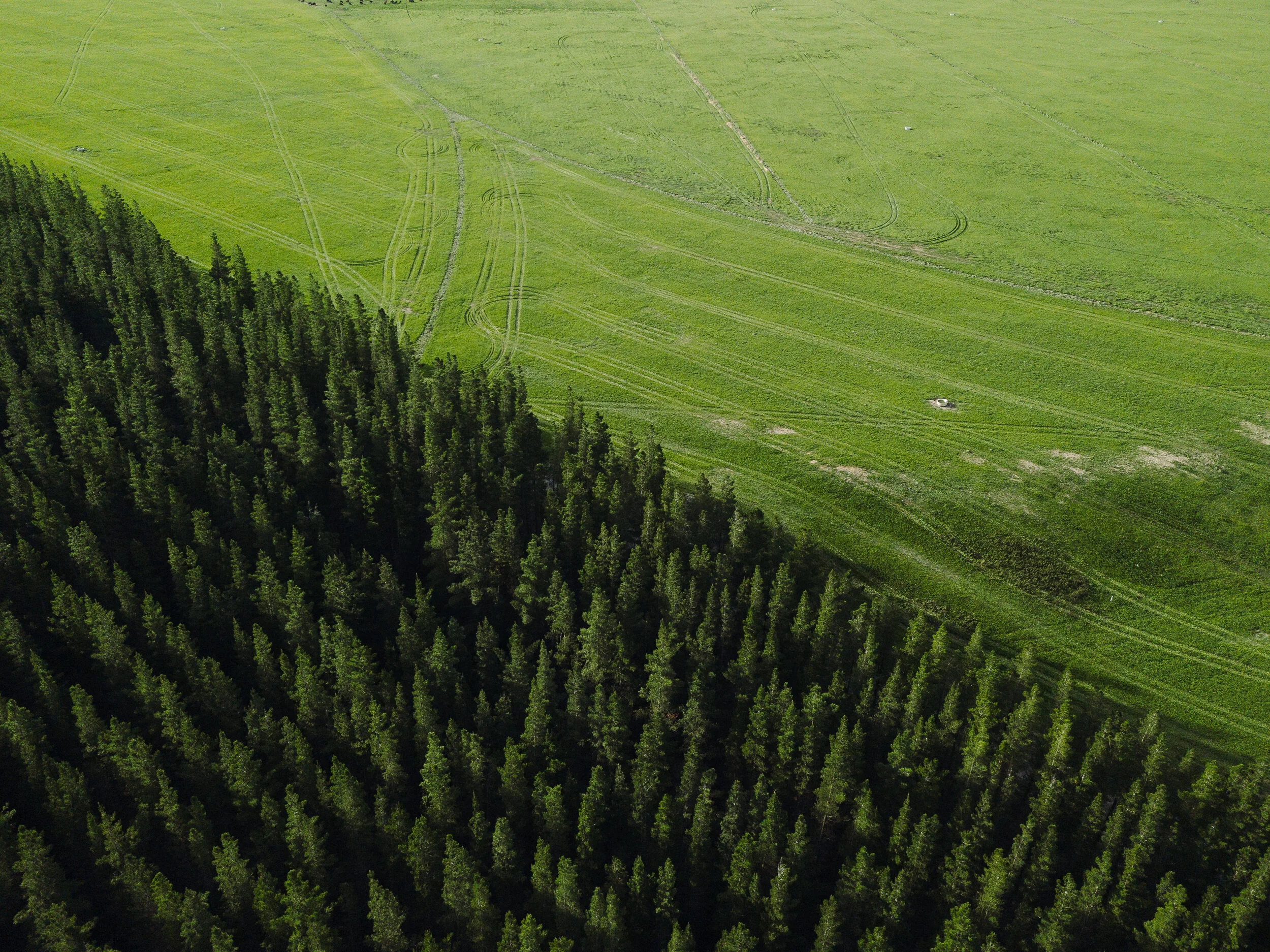 Josh Griggs - Drone-Aerial Examples-16.jpg