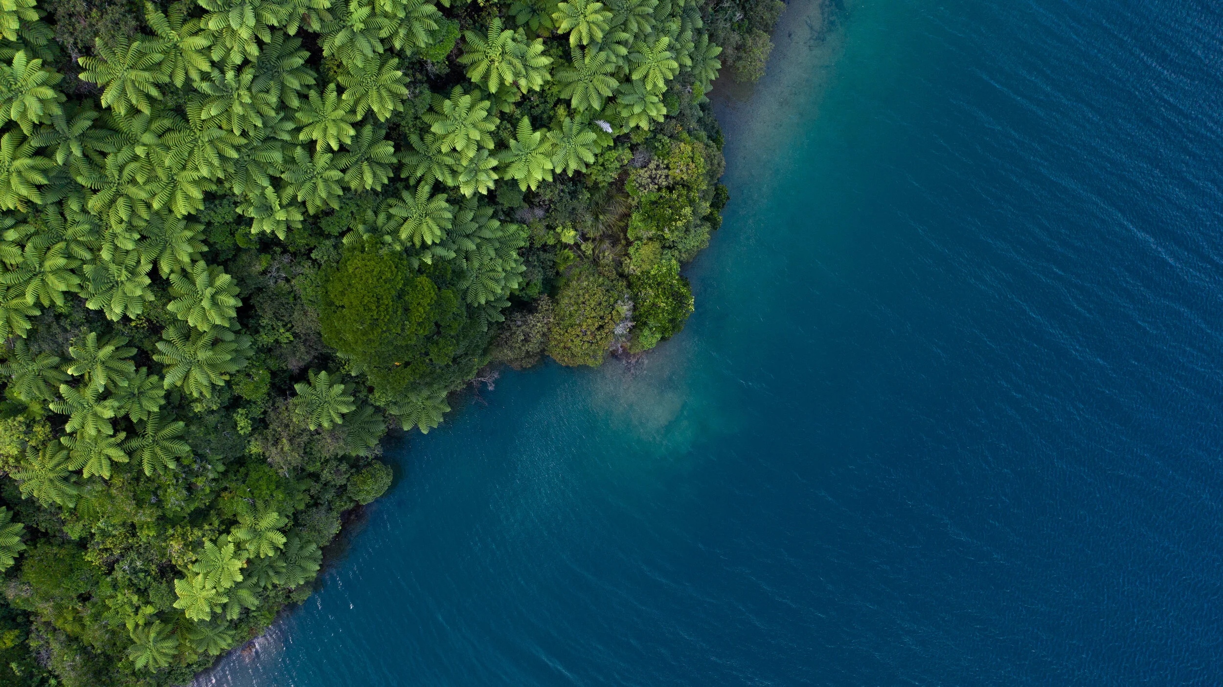 Josh Griggs - Drone-Aerial Examples-8.jpg