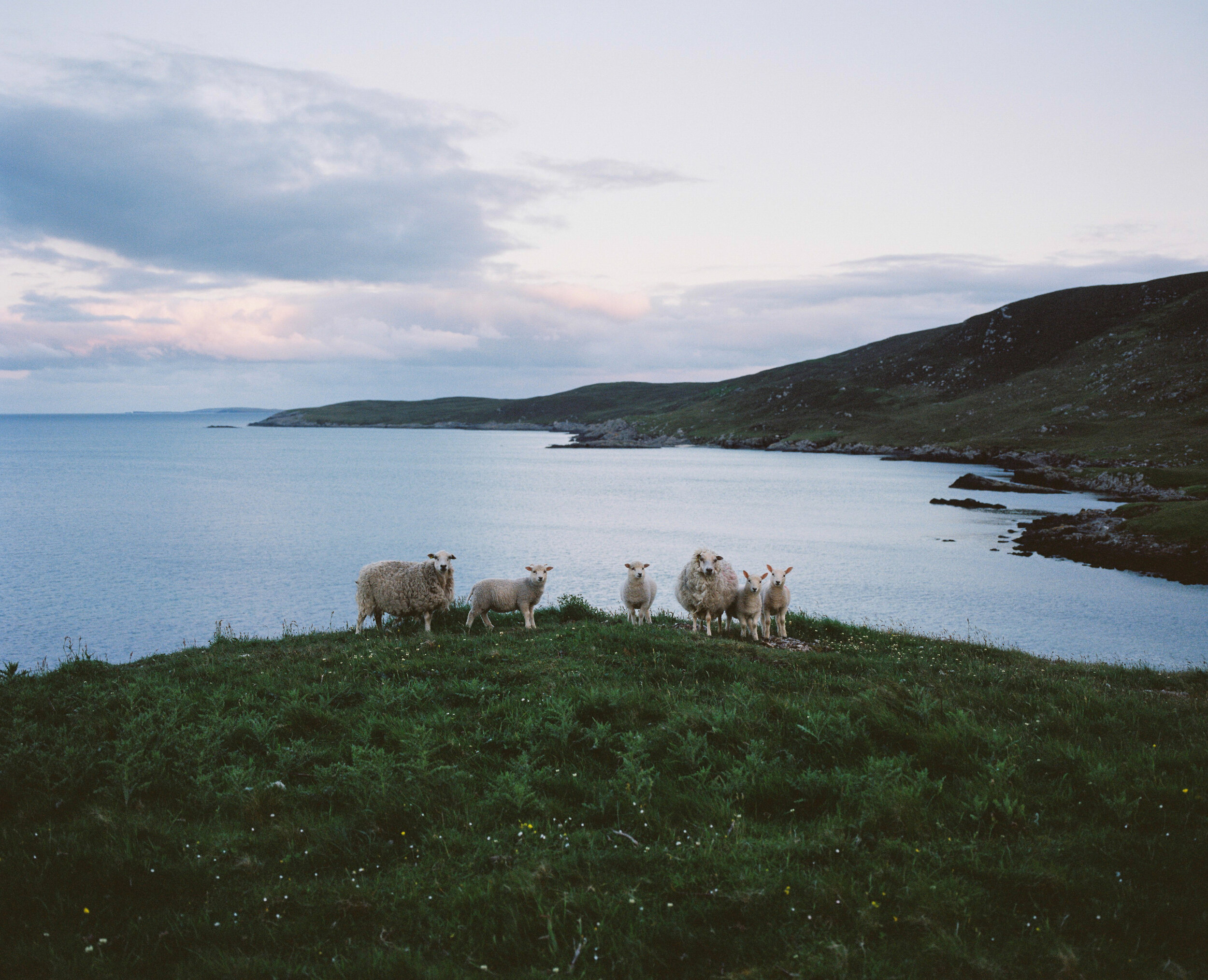 Shetland_2019-29.jpg