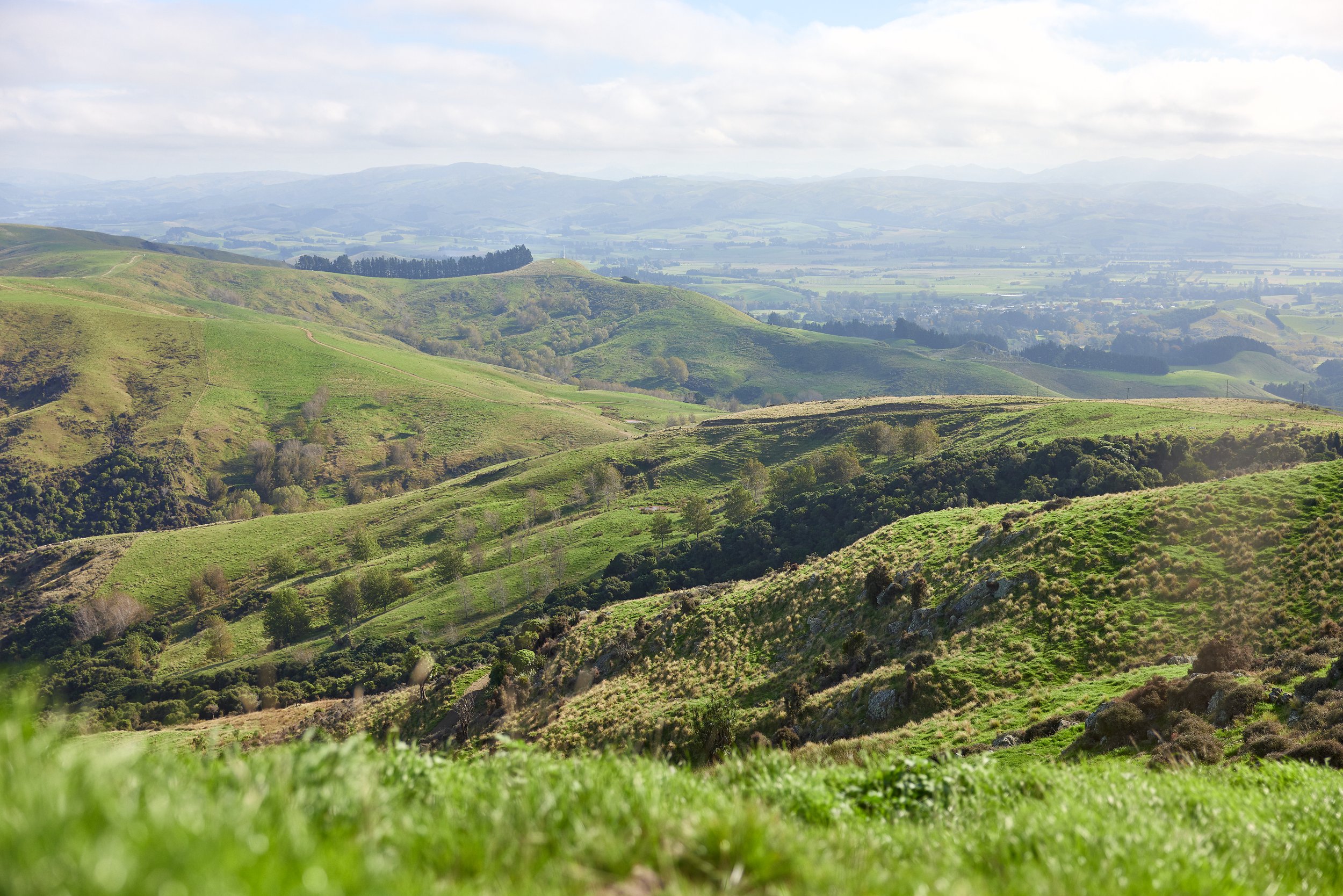 Silver Fern Farms - Net Carbon Zero April (Final Selects JPEG)-32.jpg