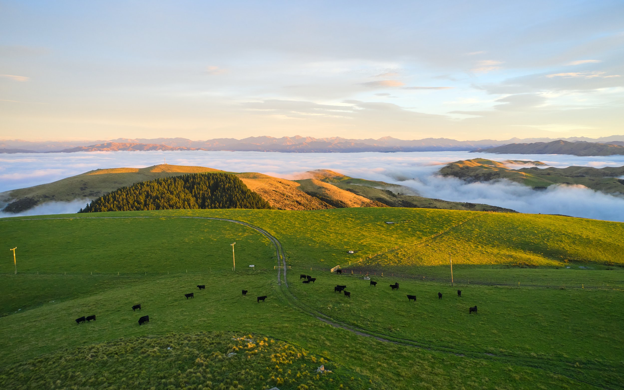 Silver Fern Farms - Net Carbon Zero April (Final Selects JPEG)-65.jpg