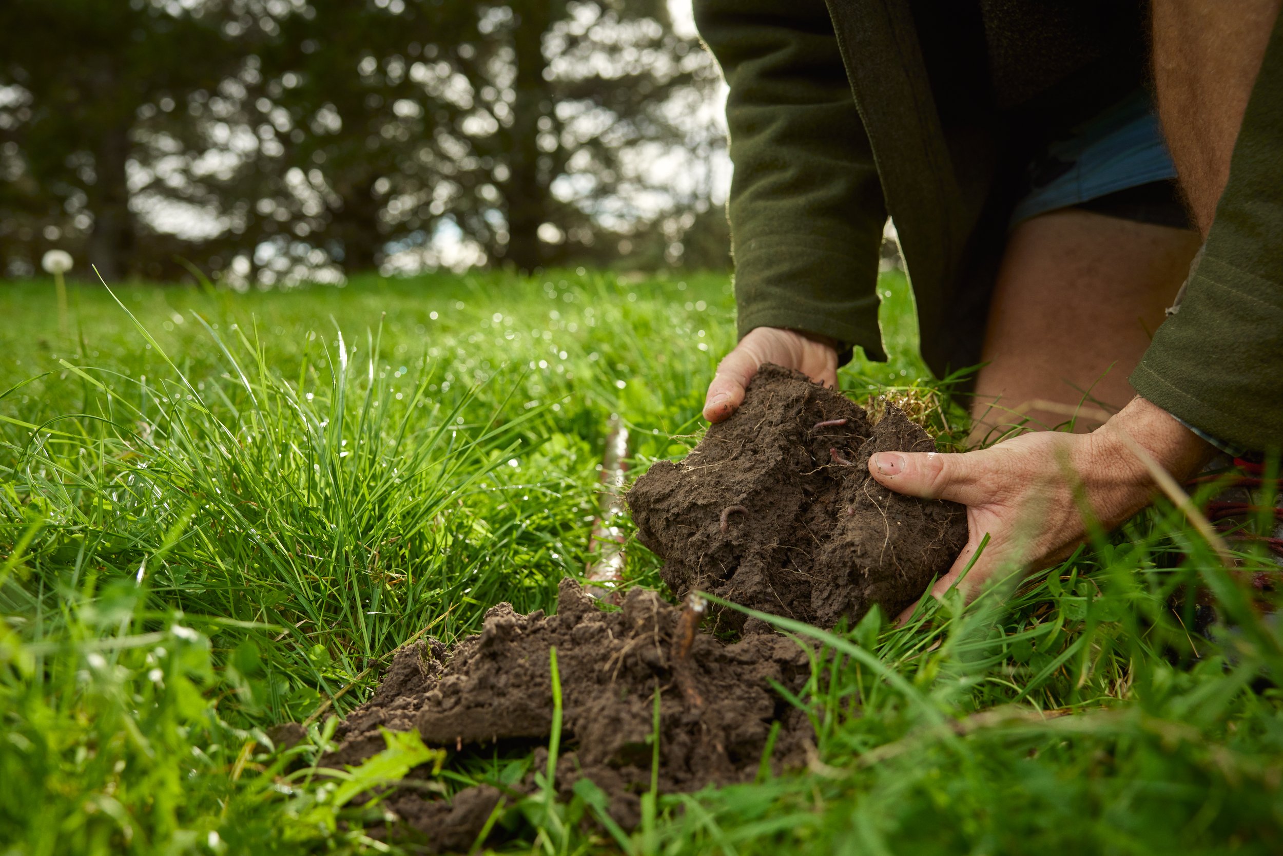 Silver Fern Farms - Net Carbon Zero April (Final Selects JPEG)-113.jpg