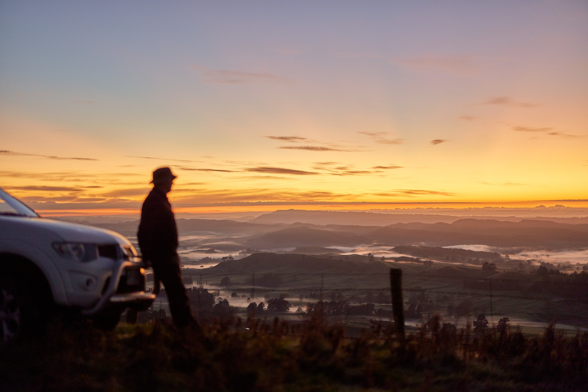 Silver Fern Farms New Zealand 3.jpg