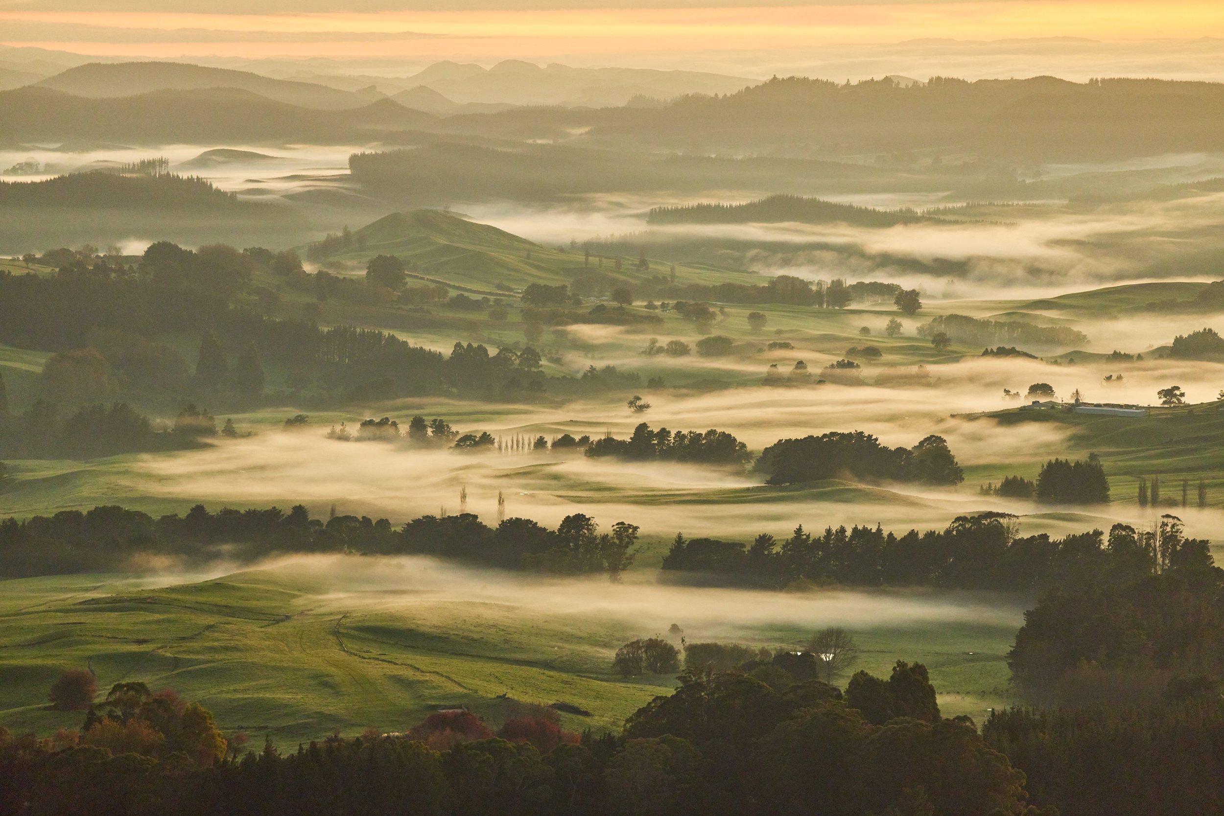 Silver Fern Farms New Zealand 5.jpg