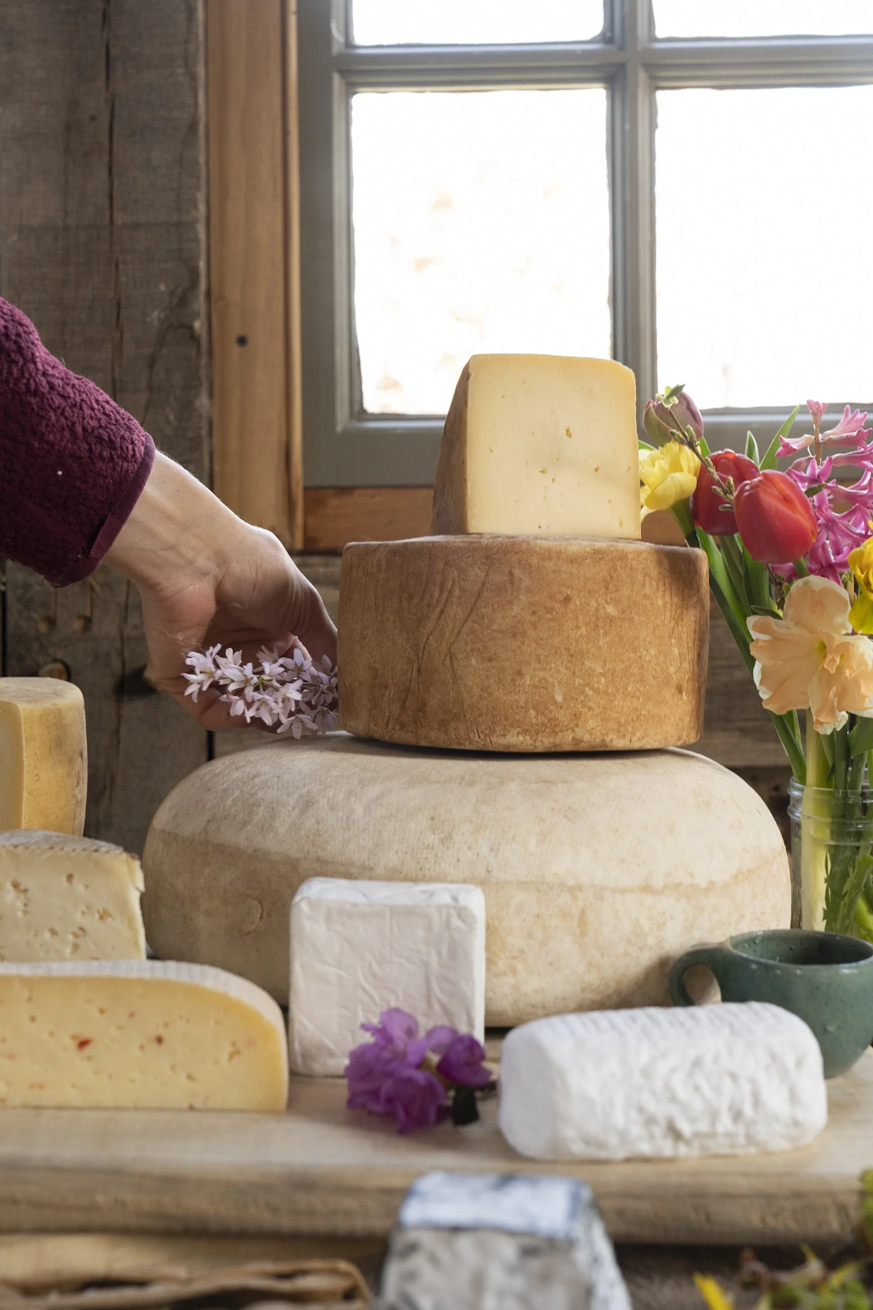 cheese group shot.jpeg