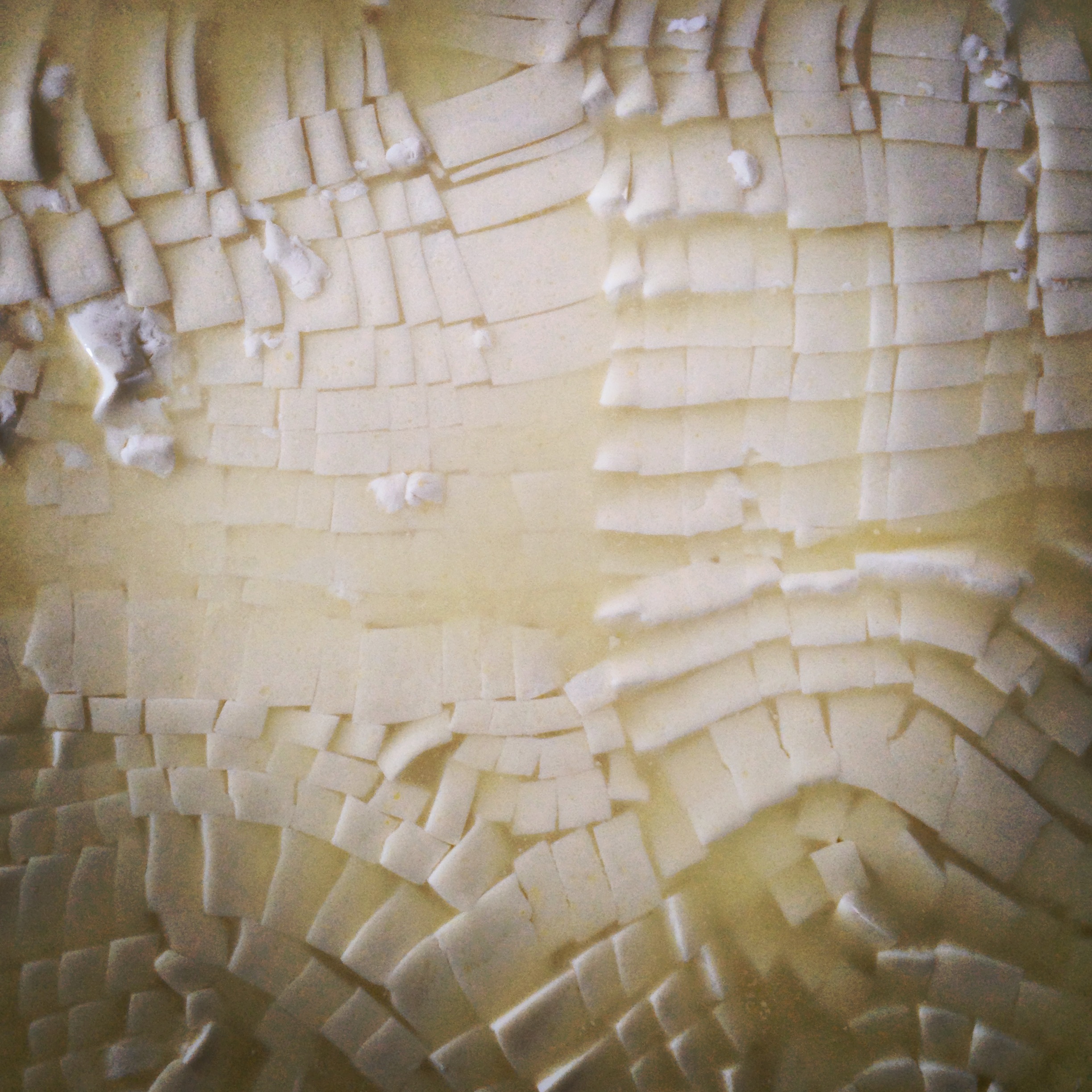 it begins with grass