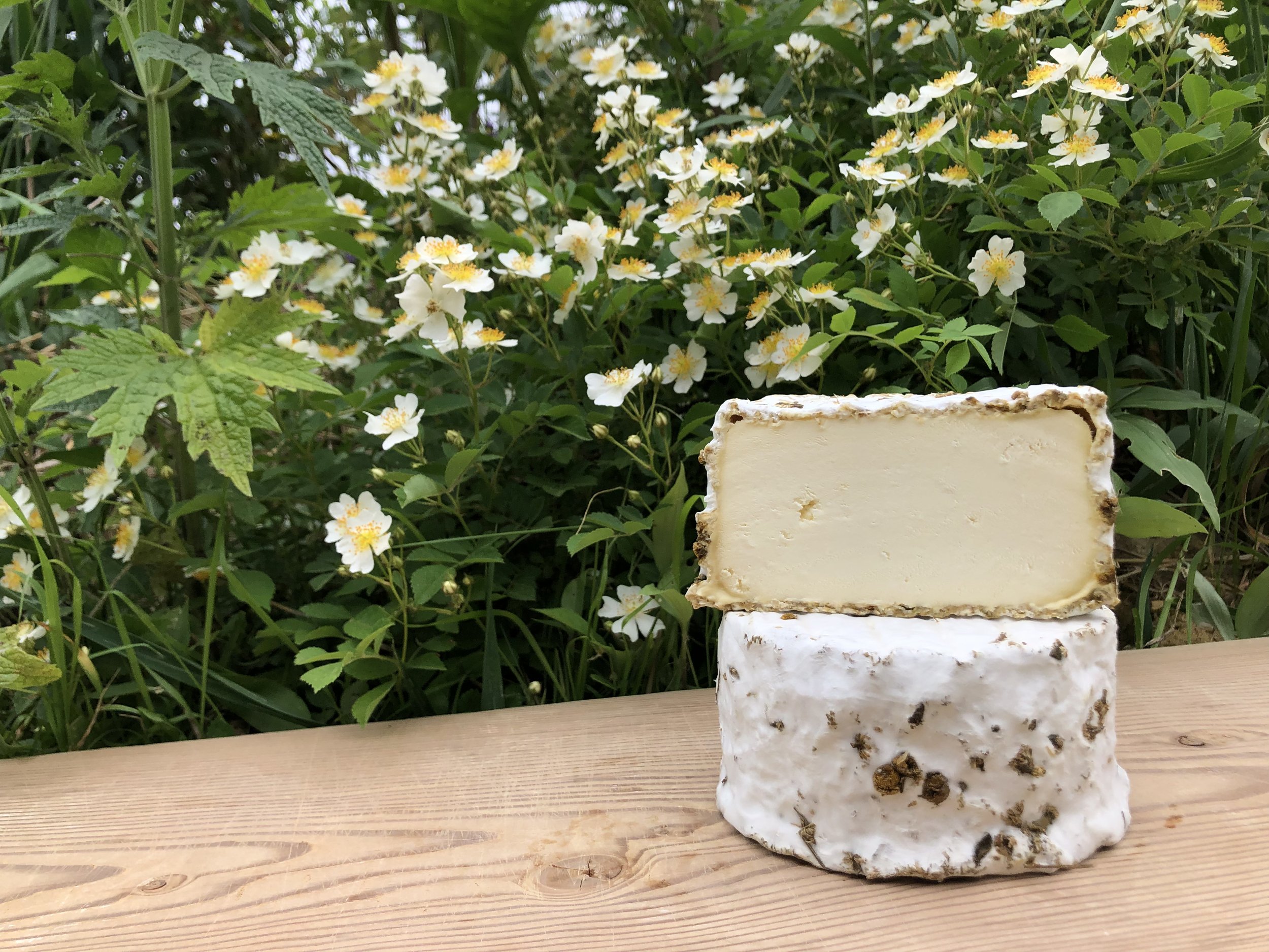 Honey Bell cheese ripened with dried chamomile flowers, served with honeycomb, from Valley Milkhouse Creamery
