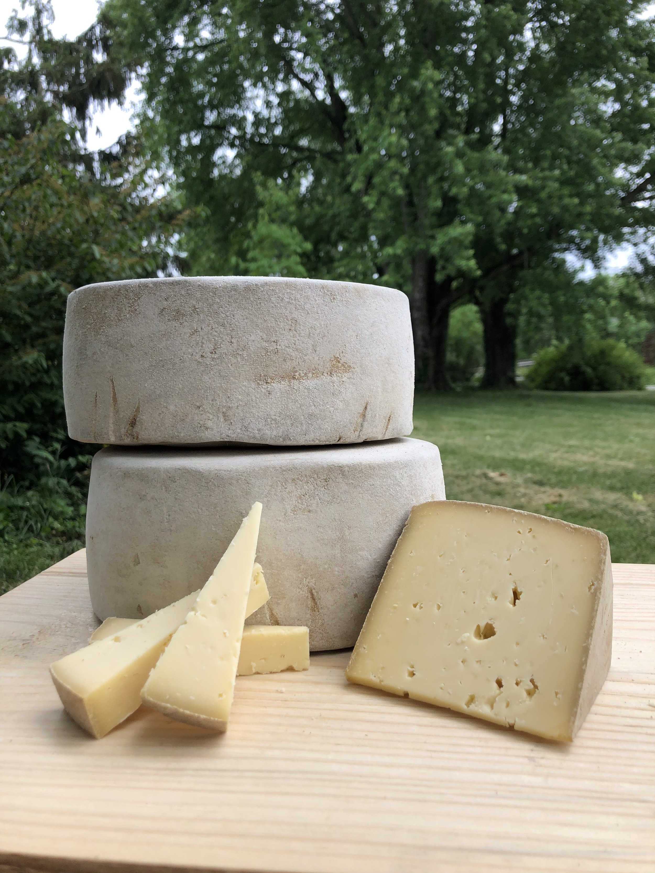  Grass-fed Soft Cheeses from Minneapolis