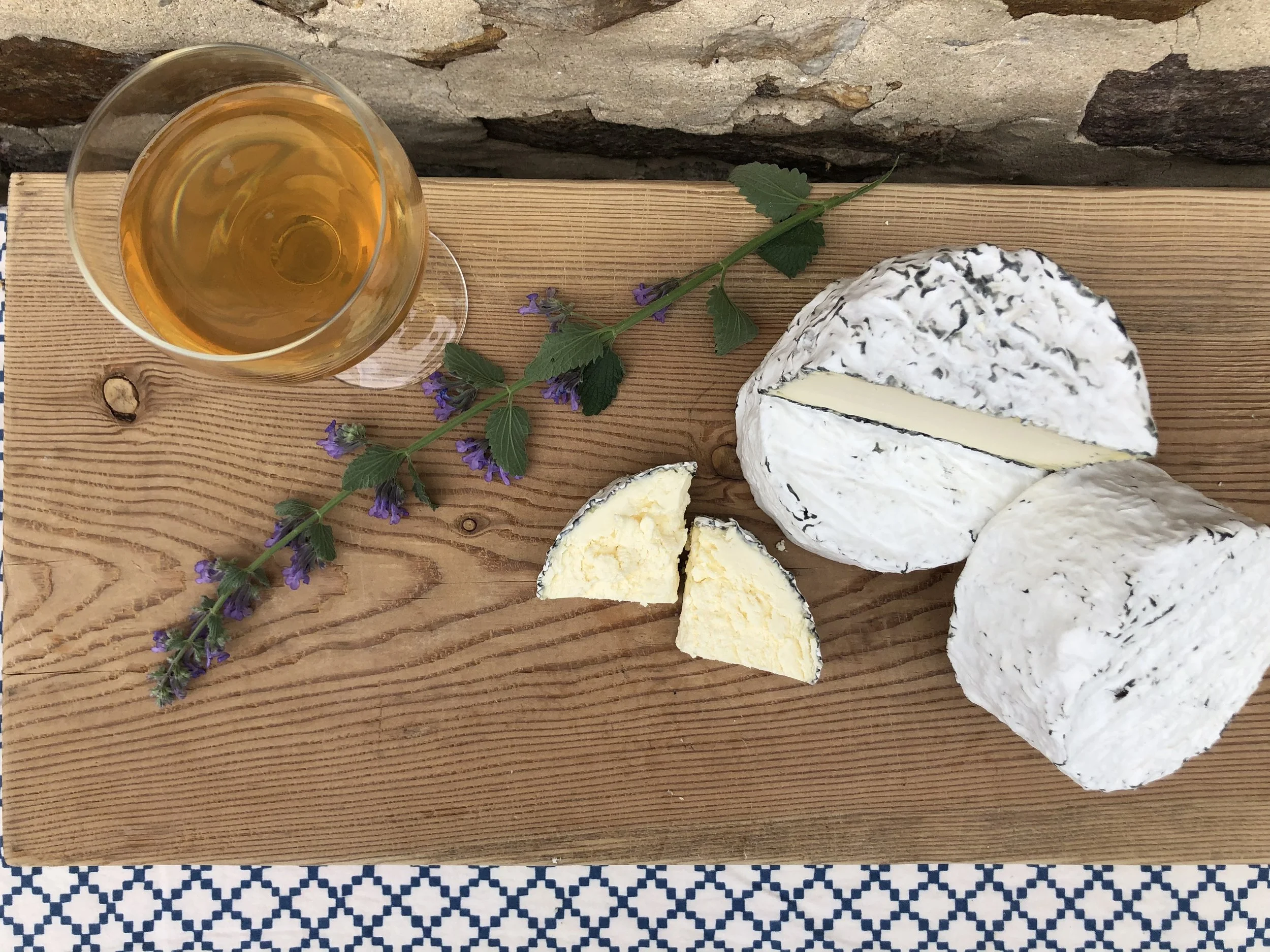 Witchgrass, a tart lactic cheese ripened with vegetable ash under a bloomy blue-gray rind, from Valley Milkhouse Creamery