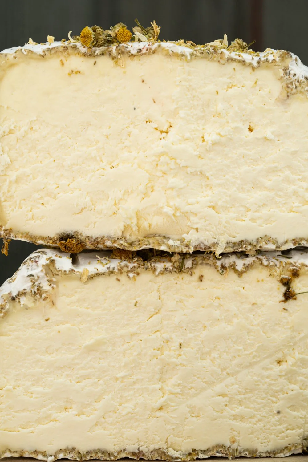 Cross-section of Honey Bell cheese showing its creamy interior, Valley Milkhouse CreameryZS_ValleyMilkhouse_052.jpg