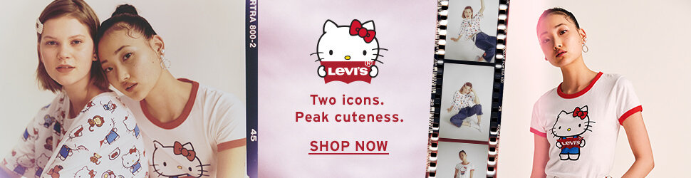 970 X 250- opening.jpg