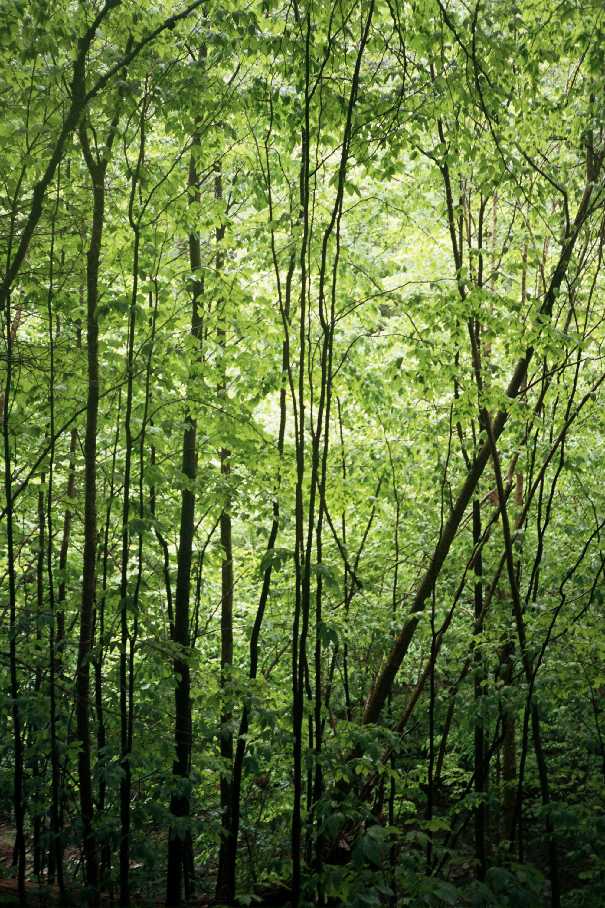 _16_1908.jpg
